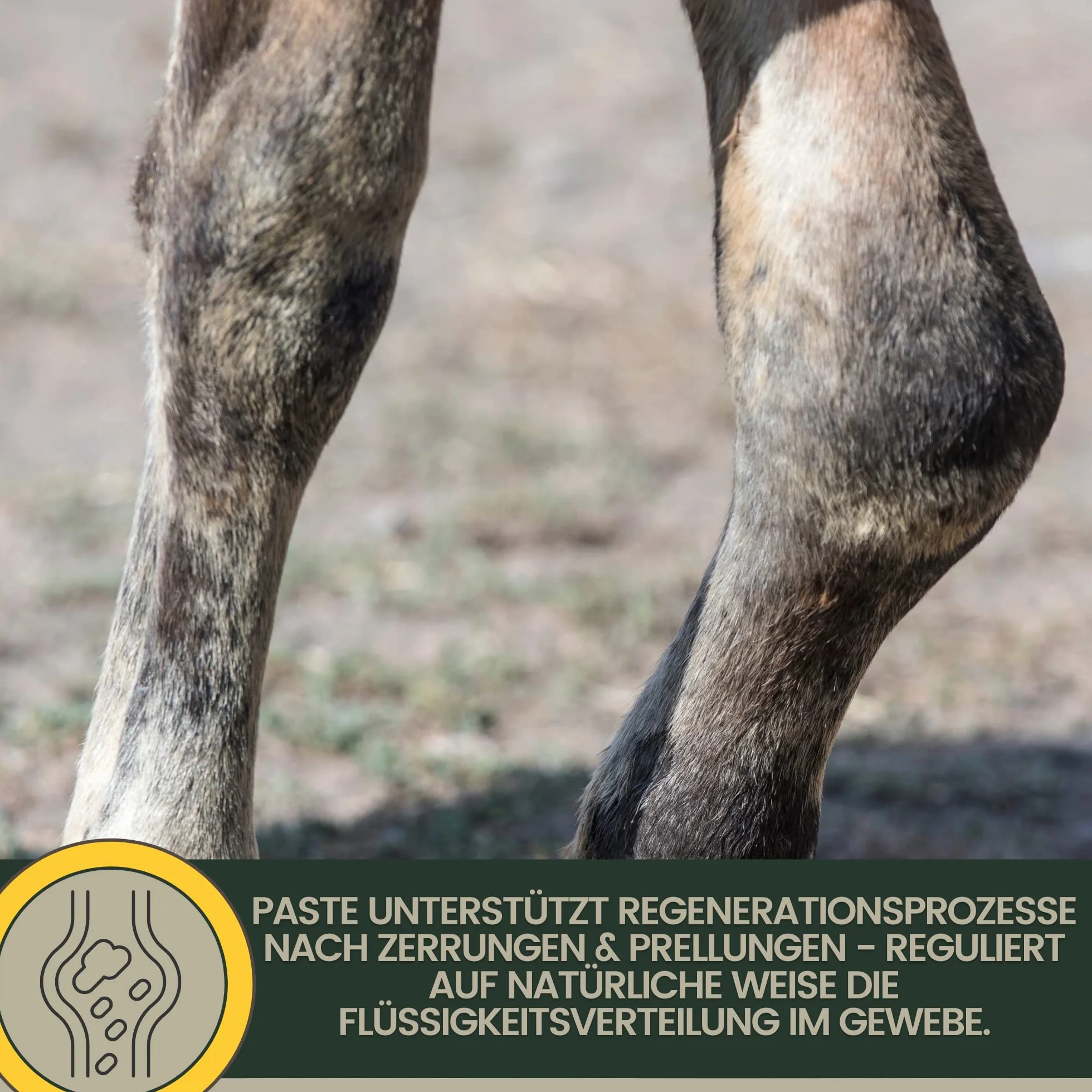 Emma Argile pour Chevaux Set 2×1,5 kg Pâte Refroidissante Tendons Articulations Arnica Pure