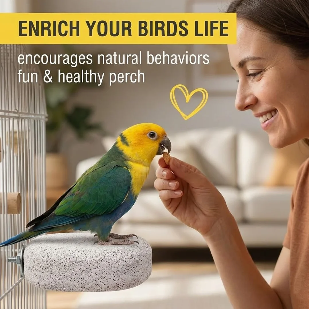 Lot de 2 Supports pour Os de Seiche Oiseaux, Pince Porte-Nourriture pour Cage, Accessoires Perruches Canaris Perroquets