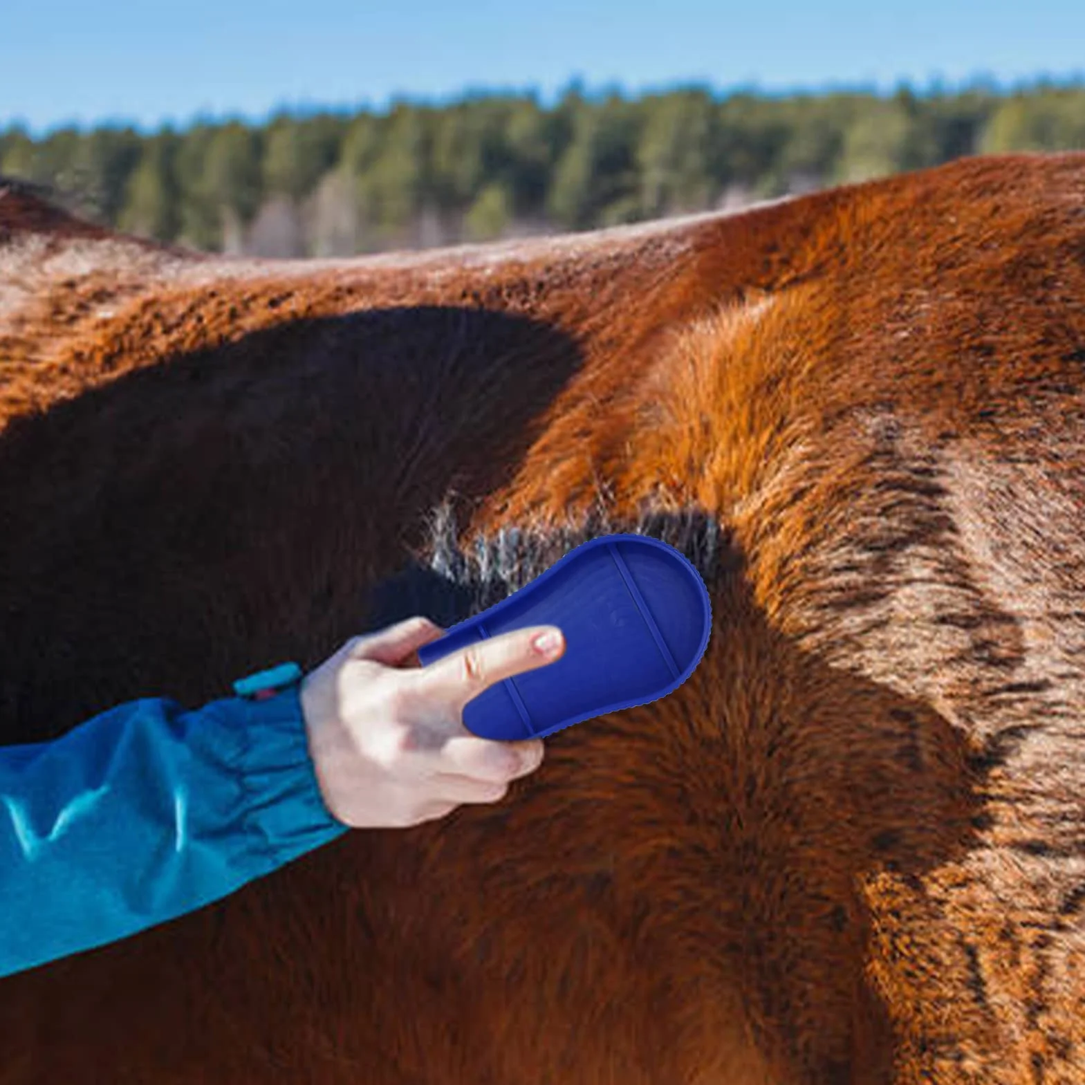 Lot de 2 brosses de nettoyage en silicone pour cheval – Outil de massage équestre