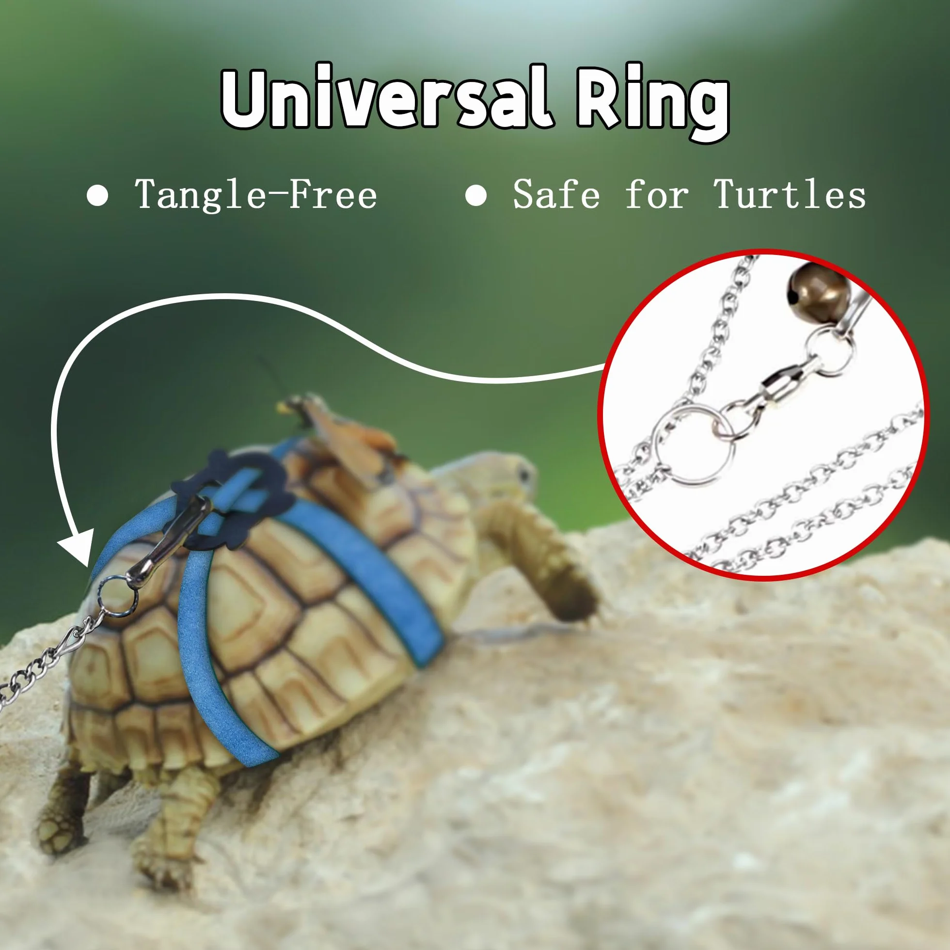 Harnais en Cuir pour Petite Tortue avec Laisse Réglable Noir M