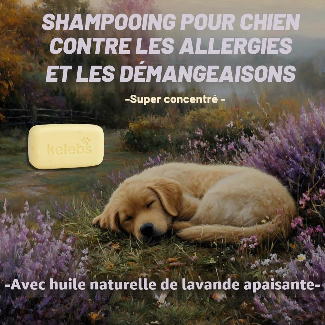 Kelebs Shampoing Chien et Chiot Naturel Anti Démangeaisons Anti Puces Anti Stress a la Lavande Huiles Essentielles Aux Flocons D'Avoine Bio Peau Sensible Anti Odeurs Biodegradable 3 Pieces
