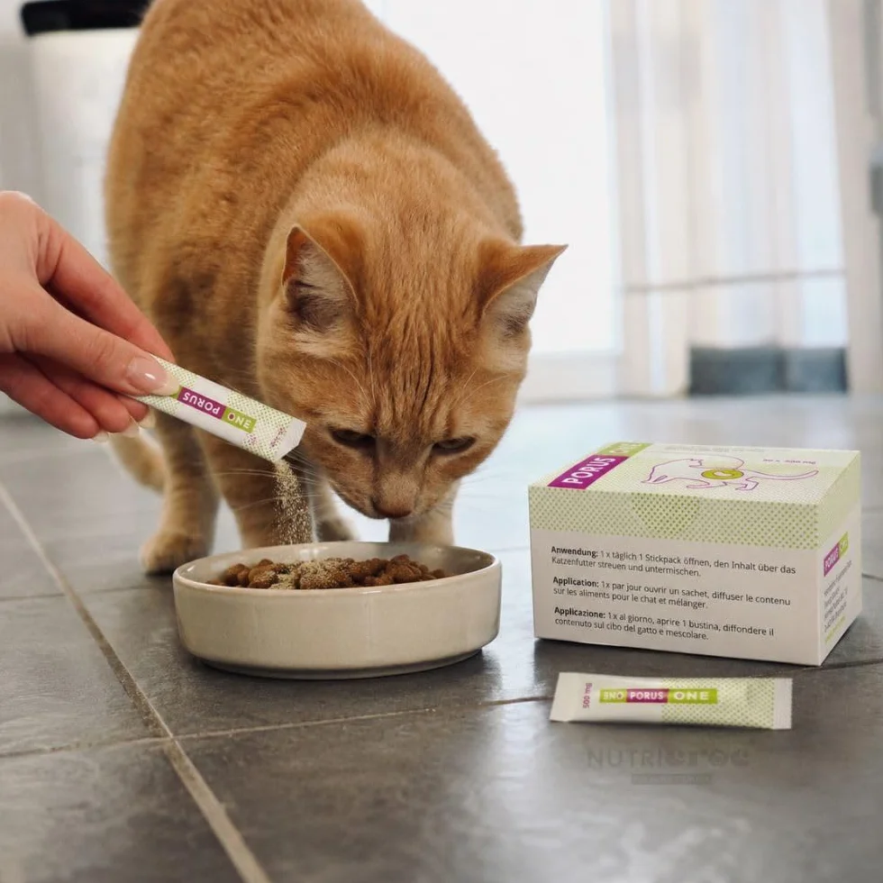 Porus One 30 x 500 MG Complément Alimentaire Faible teneur en protéines pour Chats Problèmes Rénaux