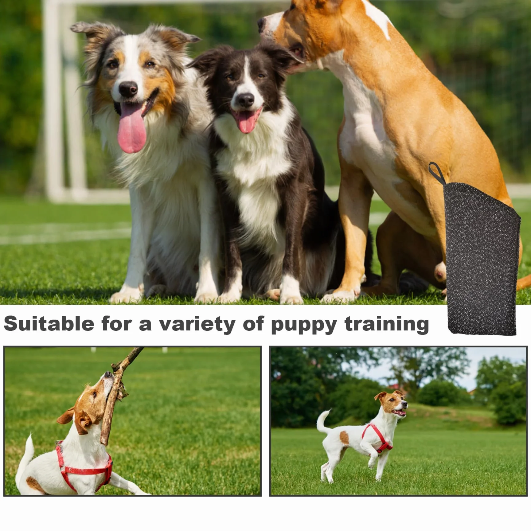 Manchons d'entraînement en Nylon résistants aux morsures pour Chiens, Manchon de Bras de Morsure Peu encombrant