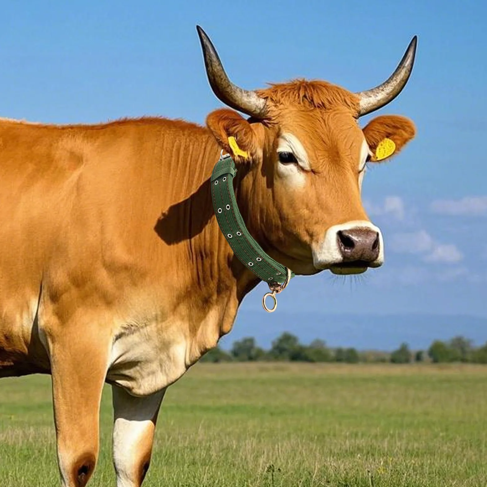 Collier Pour Chèvre | Collier Pour Cheval Et Mouton | Bande De Traction Abrasion Résistante Pour Petit Animal De Ferme Veau Vache | Pour Alimentation Transport Élevage Pâturage
