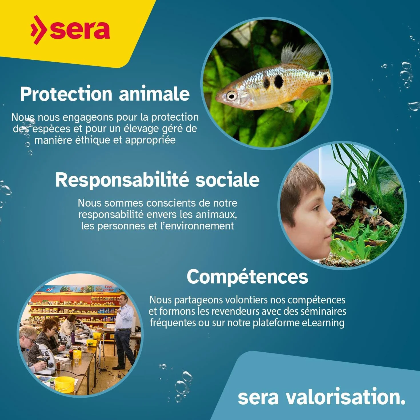 Sera Toxivec 2,5 L - Élimine l'ammoniaque, le chlore et les métaux lourds de l'aquarium