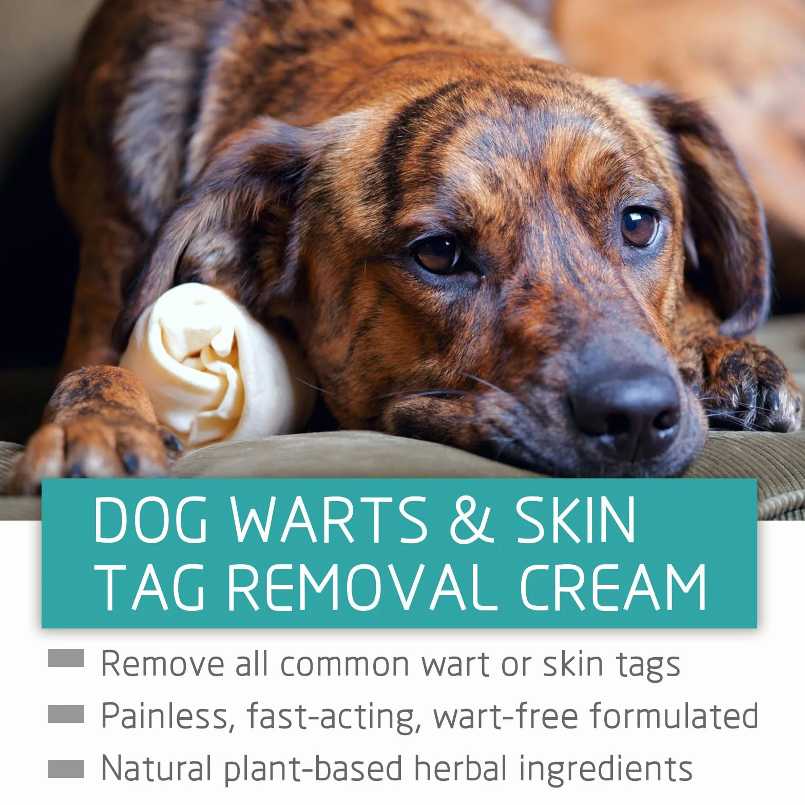 Éliminateur de Verrues pour Chiens, Dissolvant Naturel, Traitement Efficace, 20 ml