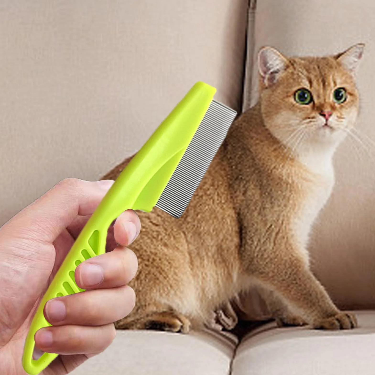 Brosse anti-puces pour chat avec manche épaissi | Peigne pour chiots pour petits chiens | Kit toilettes pour chiens Jingan