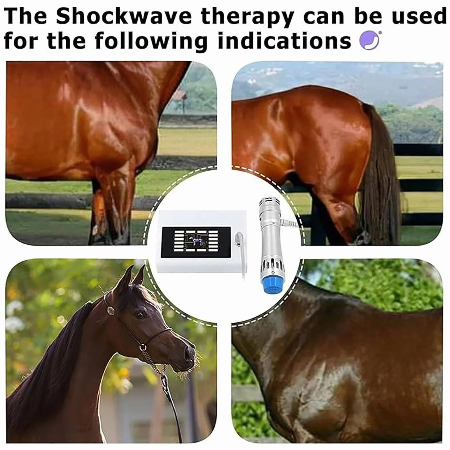 Appareil de thérapie par Ondes de Choc avec 7 têtes de Massage des Tissus Profonds pour soulager la Douleur des Chevaux et Autres Animaux, 300 MJ, 29,5 x 26 x 18,5 cm