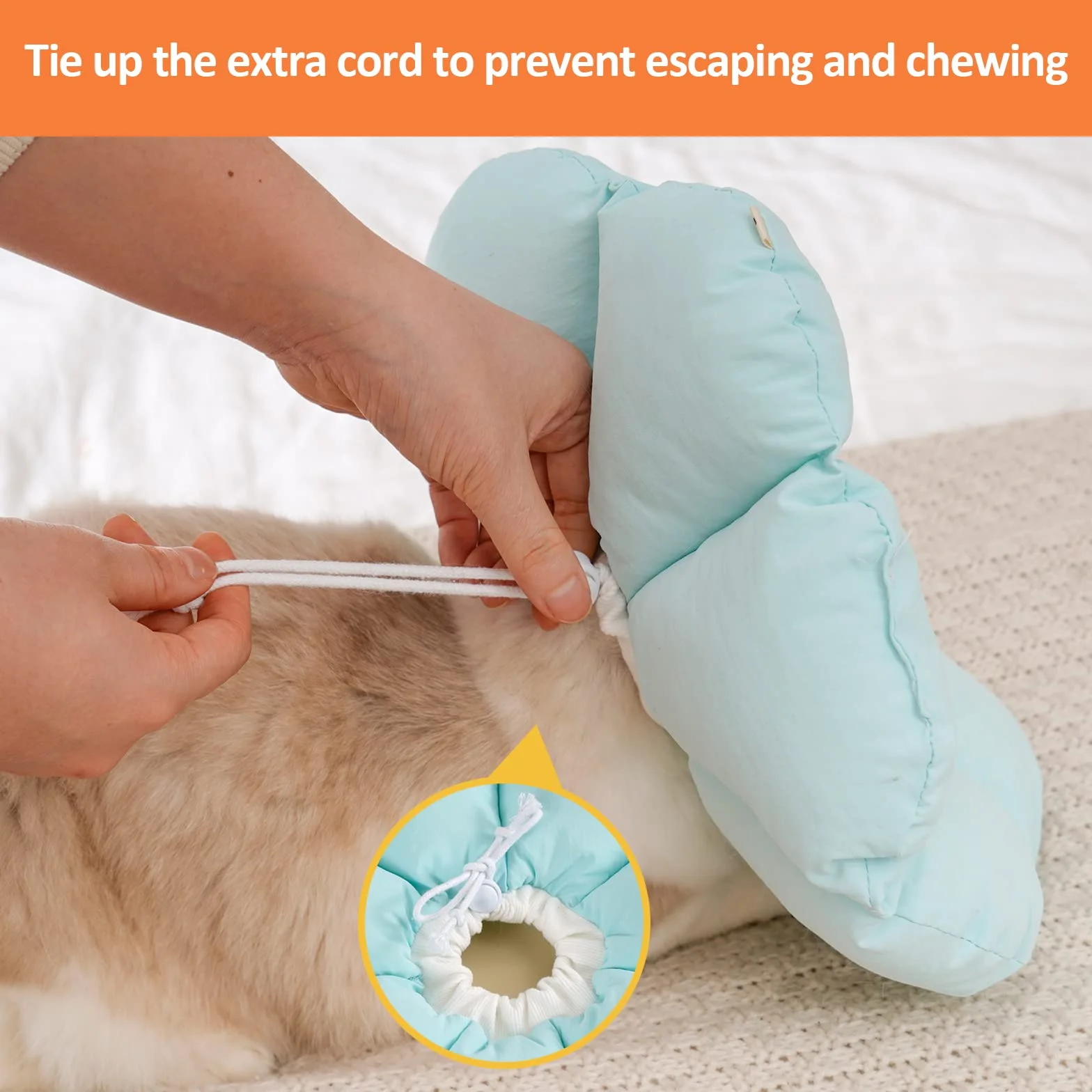 Avont Collerette Récupération Protection Lavable pour Chat et Chien, Collier Élisabéthain Post-Opératoire Bleu (S)