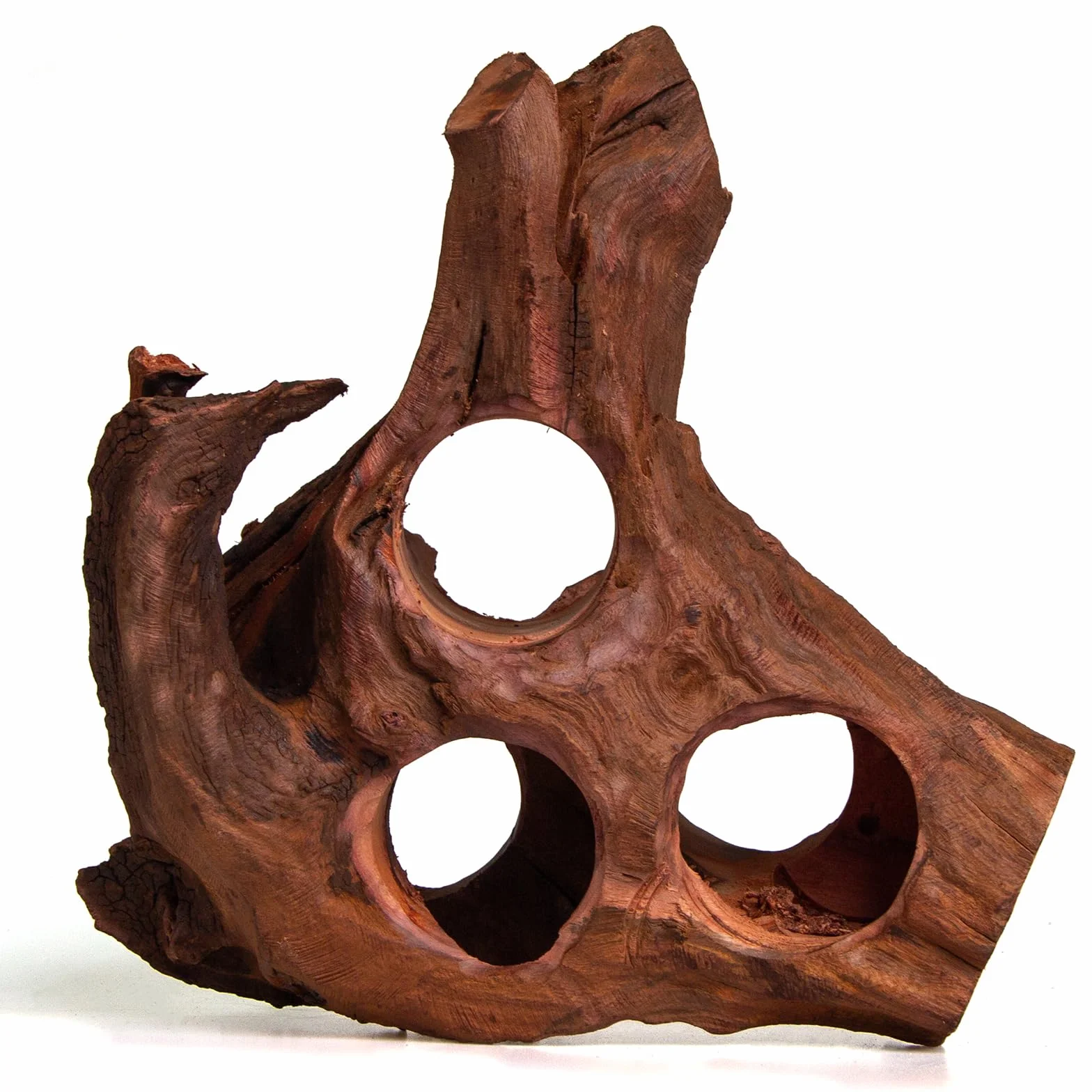 Bois flotté poreux naturel pour aquarium aquascaping avec trous tunnels cachettes