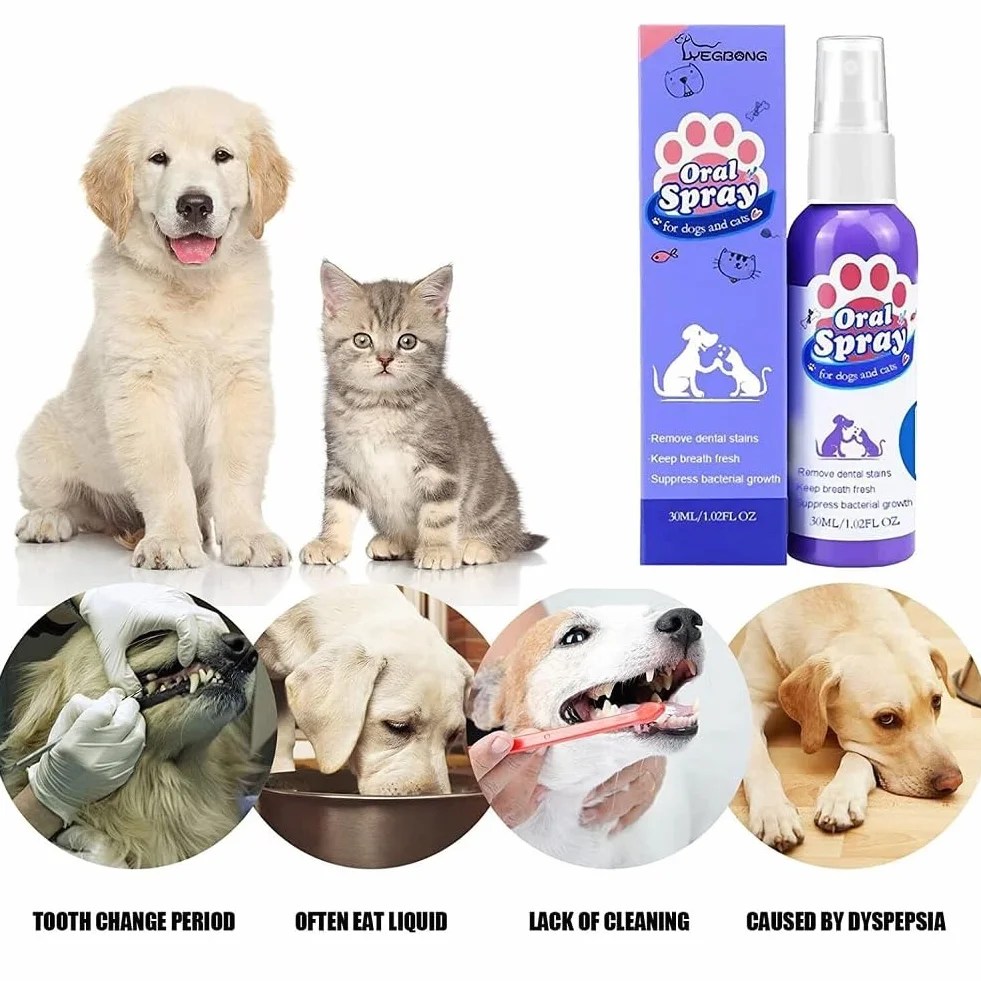 Spray nettoyant dentaire pour chiens et chats, soins bucco-dentaires animaux, élimination mauvaise haleine
