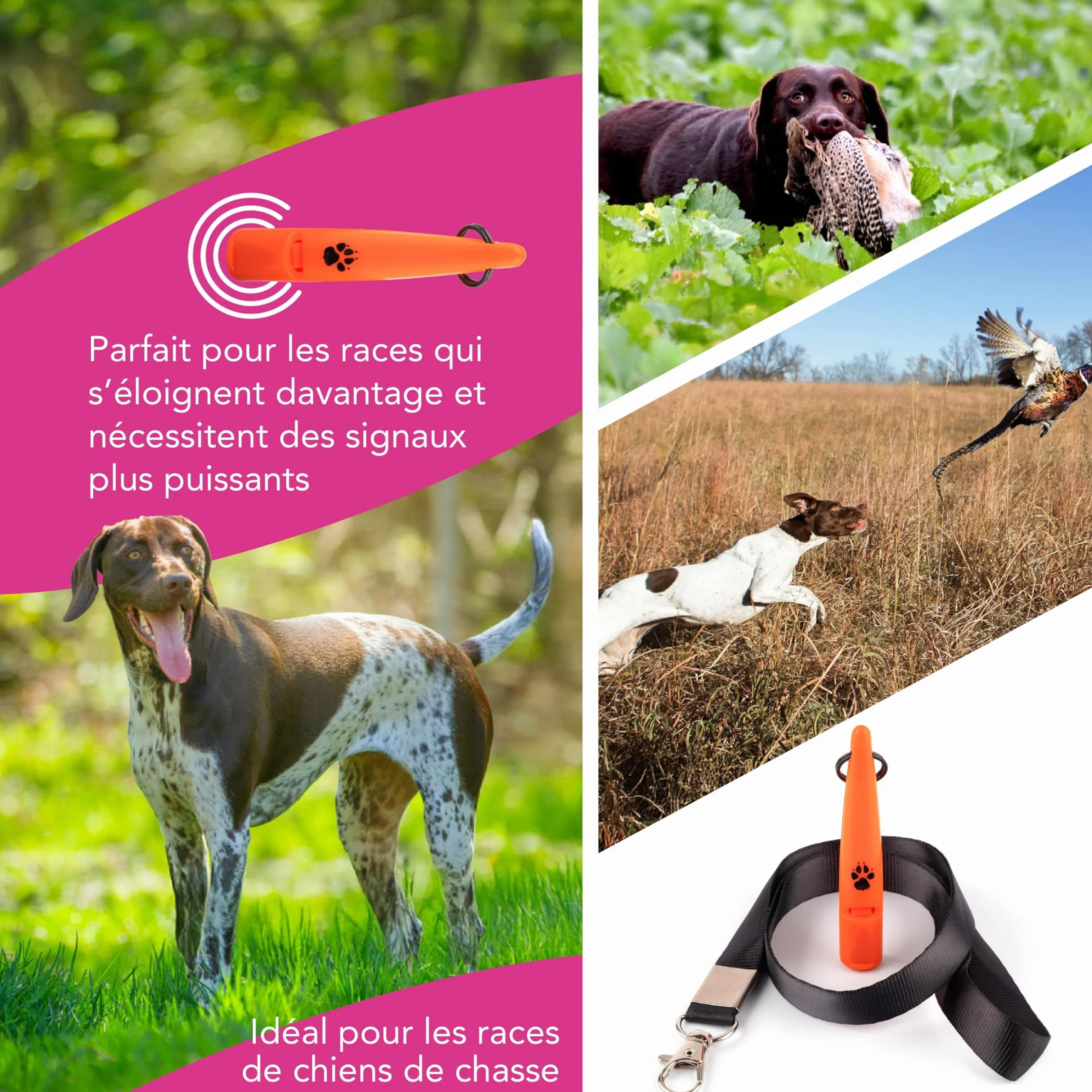Sifflet d'entraînement pour chien TDL son fort longue portée haute fréquence avec lanière