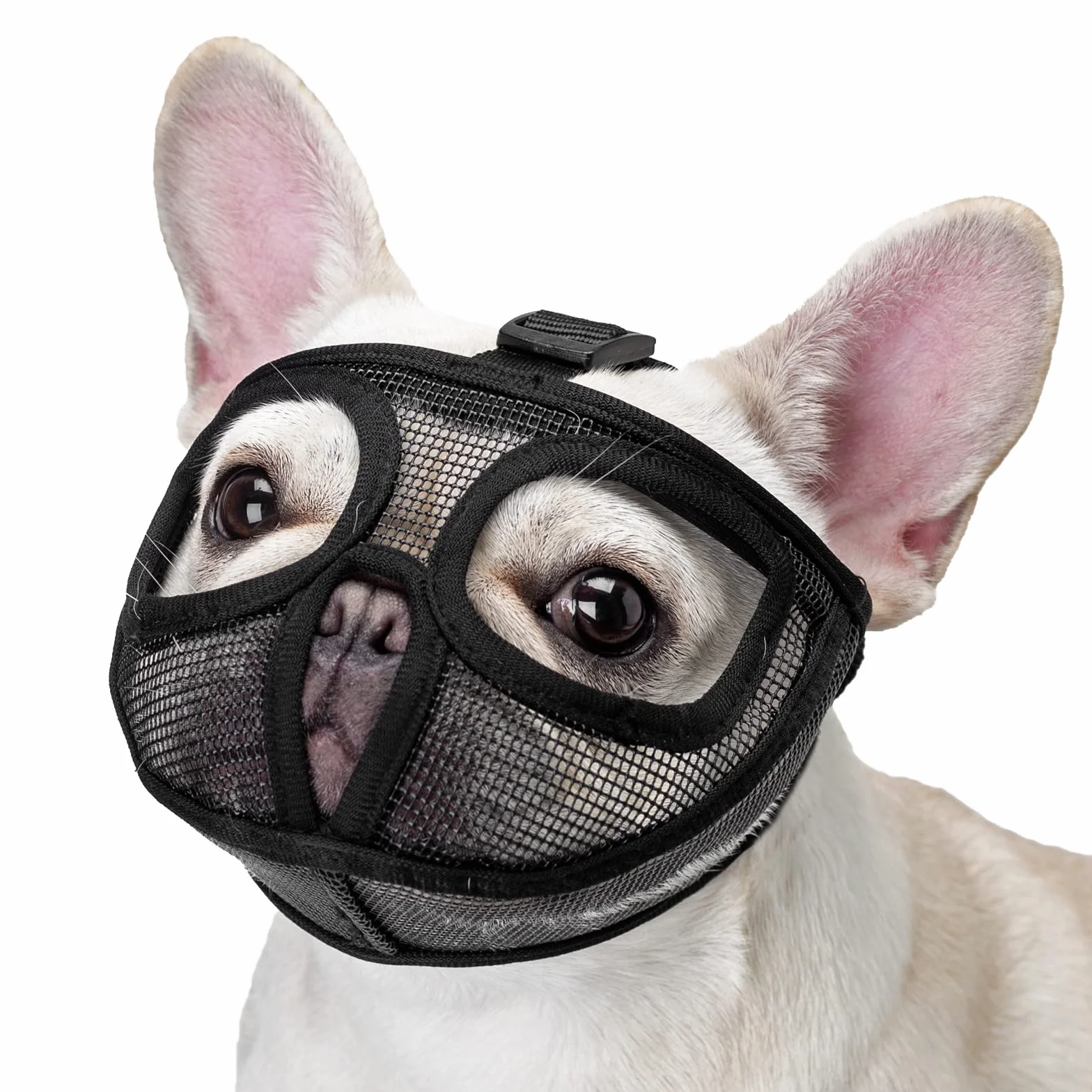 ILEPARK Museliere pour Bouledogue, Réglable ne Couvrira Pas Les Yeux Mêches Muettes Museau pour Mordre la Mât (L,Noir)
