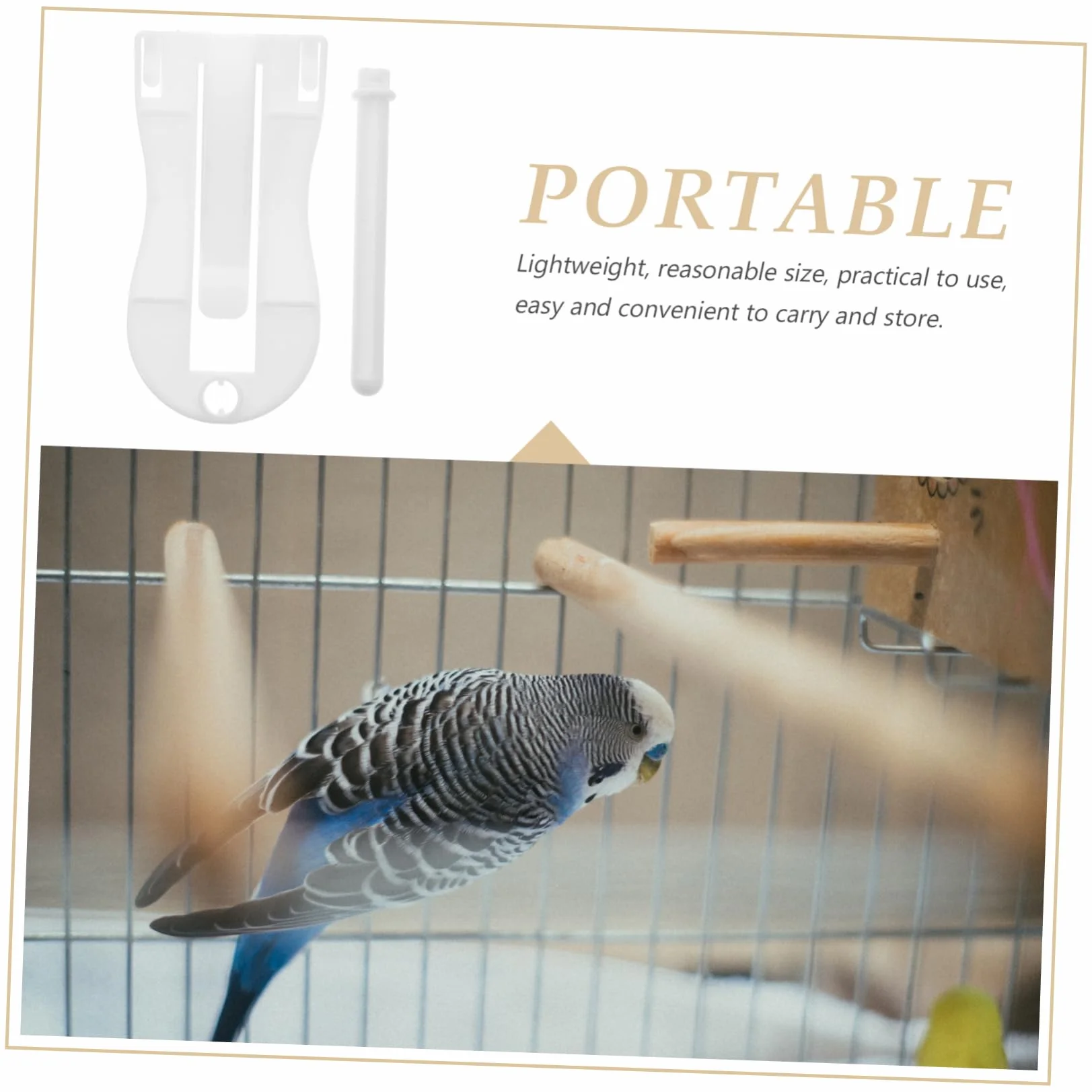 BESPORTBLE Support Os Seiche Abs pour Cage à Oiseaux Pince Alimentaire Polyvalente Légumes Friandises Accessoire Perruches Canaris Cockatiels Finches