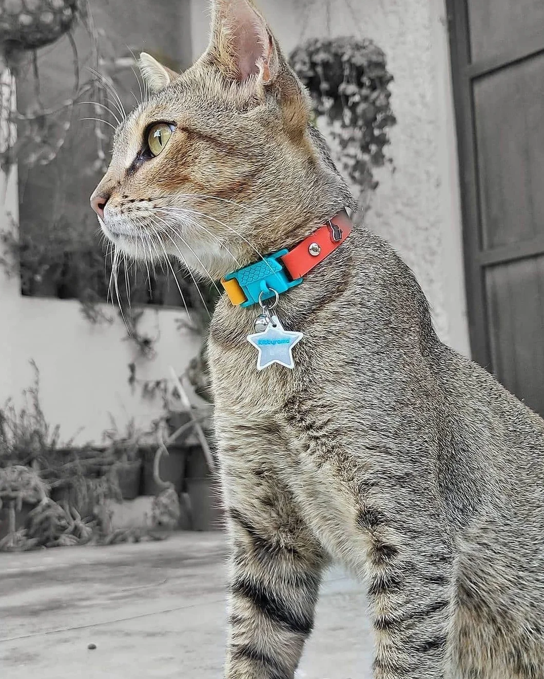 Kittyrama Médaille de Chat Réfléchissante Nuage Haute Visibilité Imperméable Léger