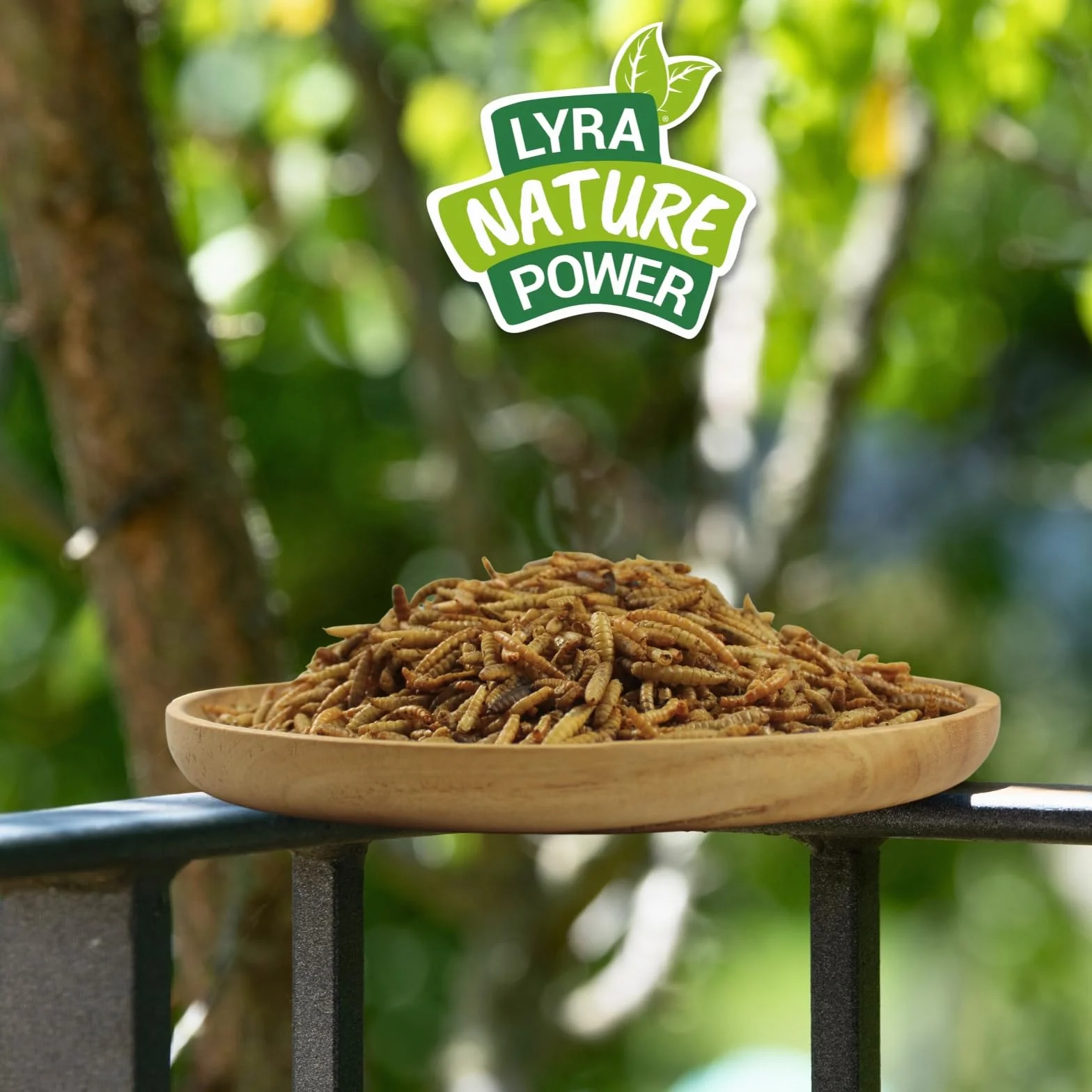 Lyra Pet® 10 kg vers de farine Mélange de larves de mouches soldats séchées Riche en protéines Nourriture naturelle pour oiseaux rongeurs