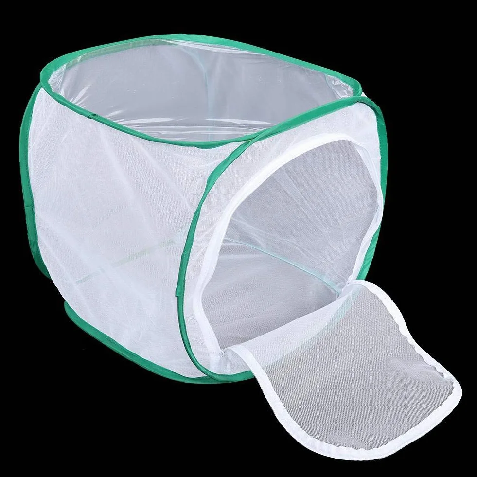Grande Cage d'élevage pour Insectes et Papillons - Habitat Portable en Fil de Polyester 30x30x30 cm
