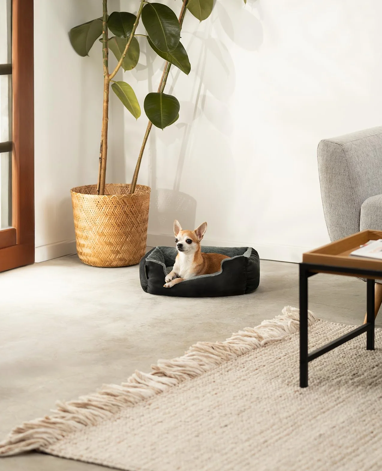 Lionto Lit pour Chien avec Coussin réversible Base antidérapante 50x37 cm Noir/Gris