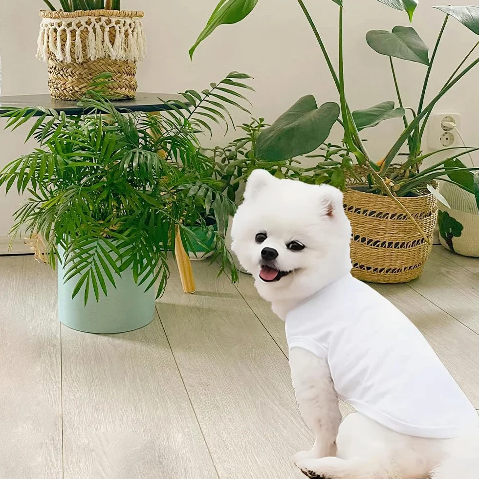 T-Shirt d'été pour Chien en Coton Doux et Respirant sans Manches, 3 Pièces, pour Petits Chiens et Chats (Noir, Blanc, Gris, Taille M)