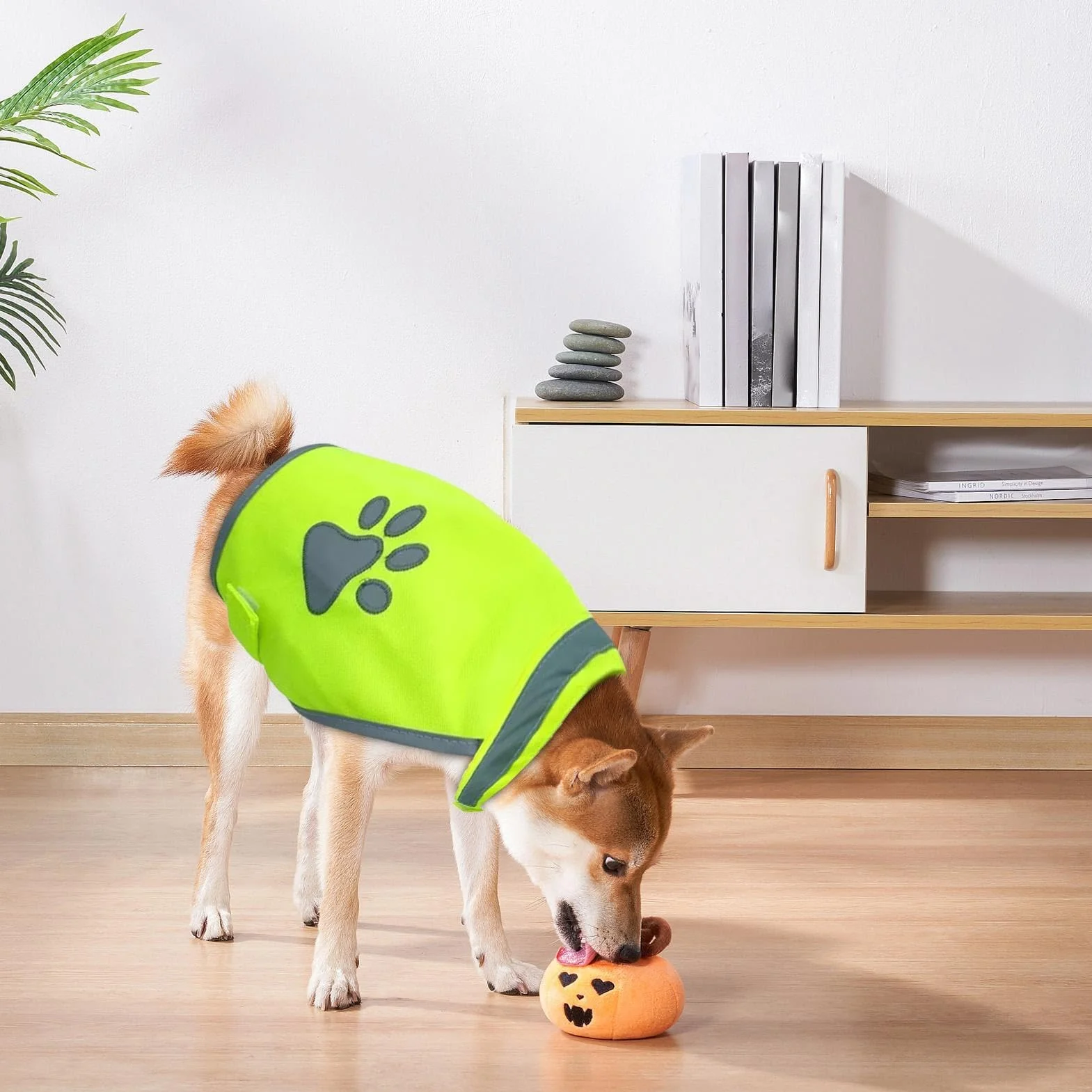 Gilet de sécurité réfléchissant pour chien, Veste Haute Visibilité Taille M