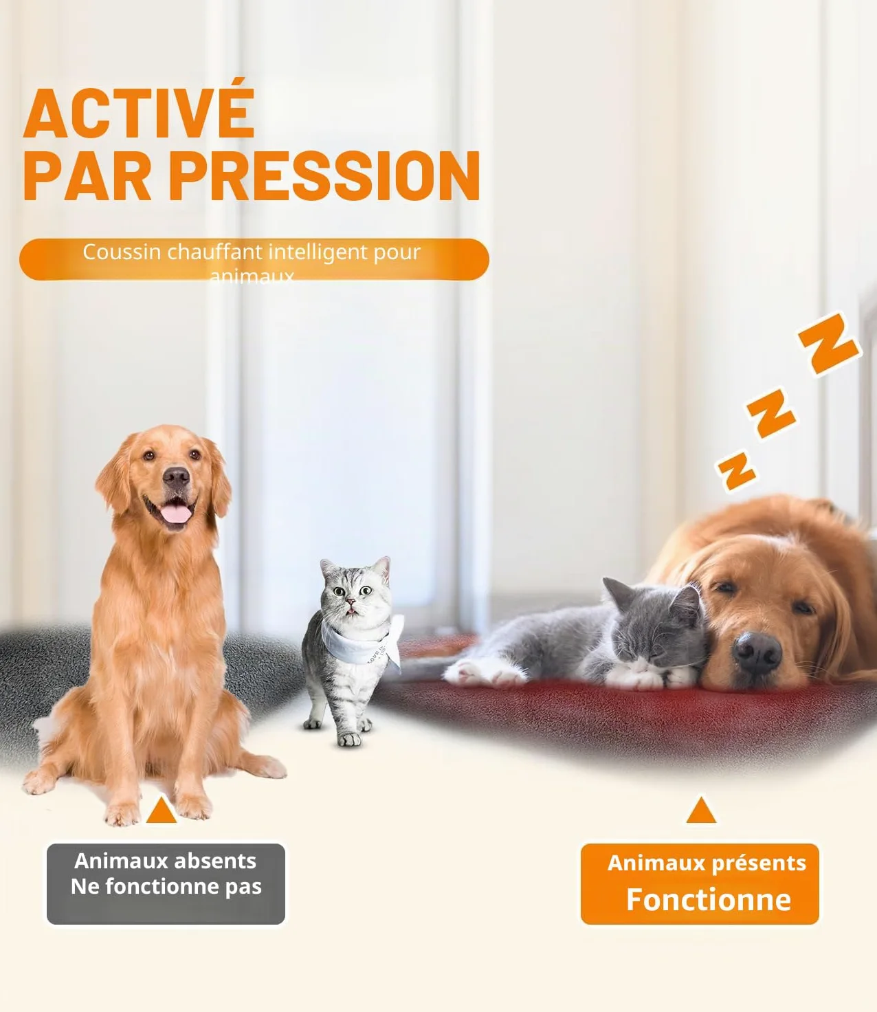 Tapis chauffant pour chien et chat activé par pression - Tapis chauffant électrique automatique pour animal domestique - Tapis chauffant avec cordon résistant à la mastication - Température réglable
