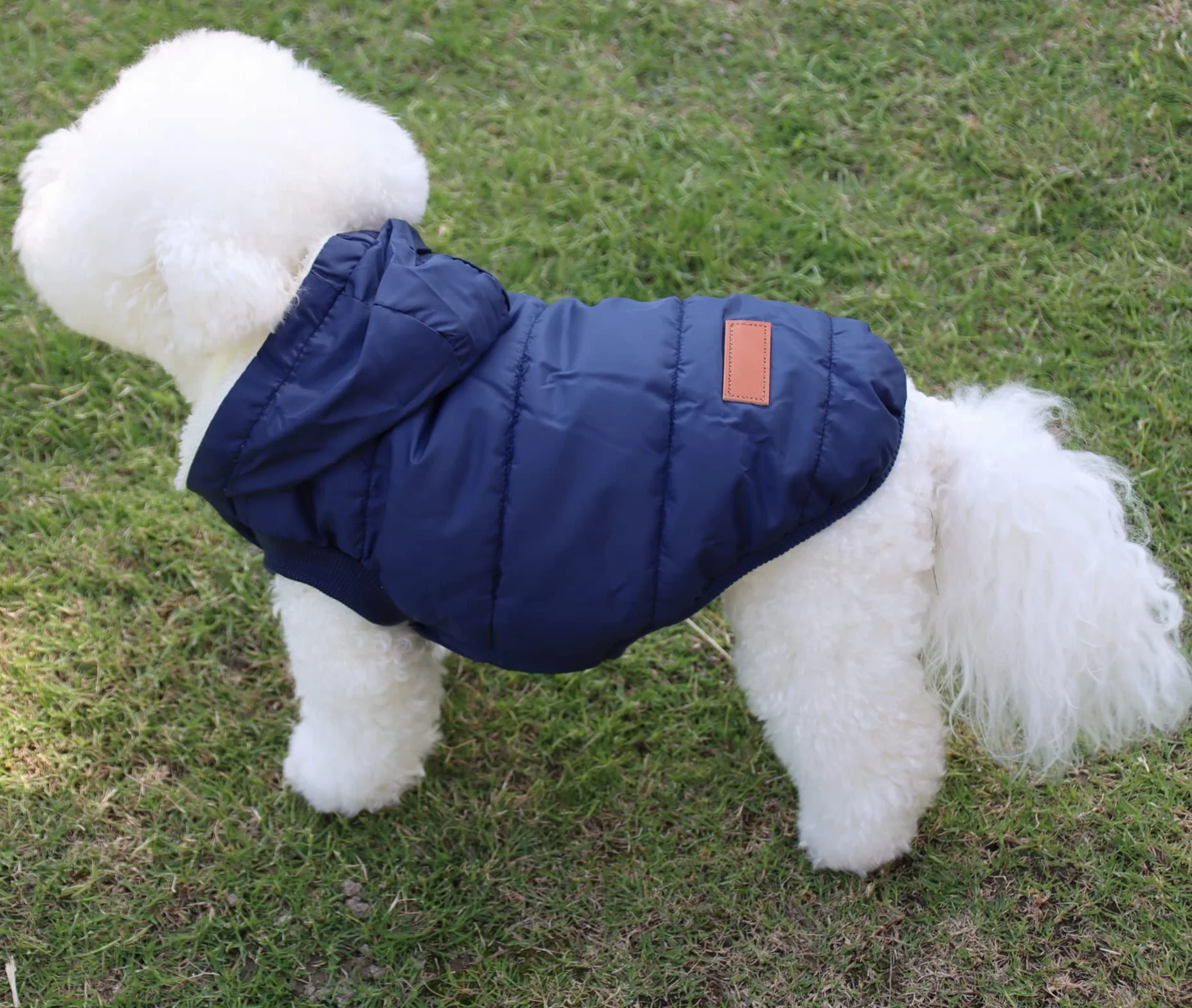 Sweat à capuche en polaire et coton pour chien JoyDaog