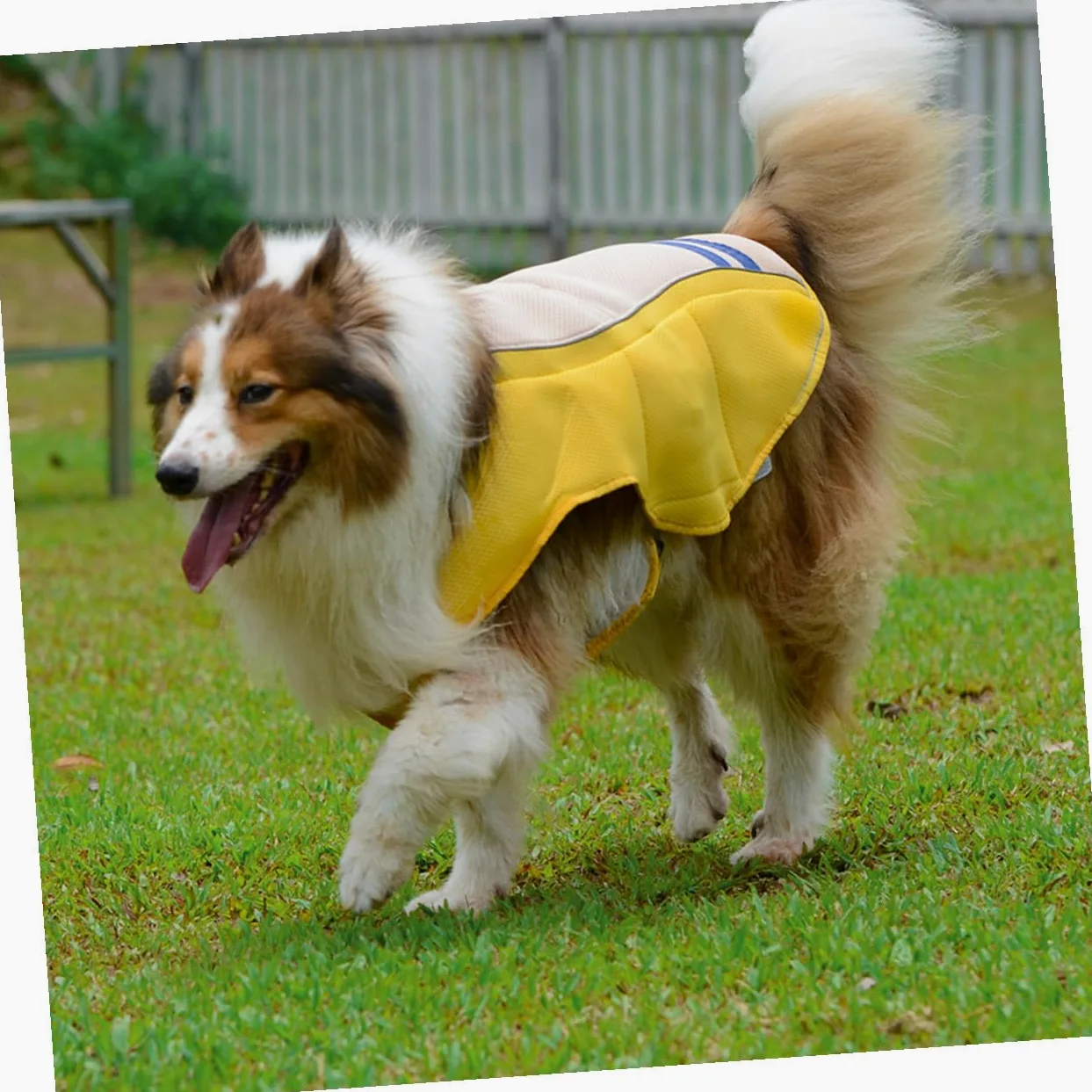 Gilet Rafraîchissant et Prévenant Le Coup de Chaleur pour Chien Jaune en Polyester Confortable et Fêtes du Weekend pour Parades D'été