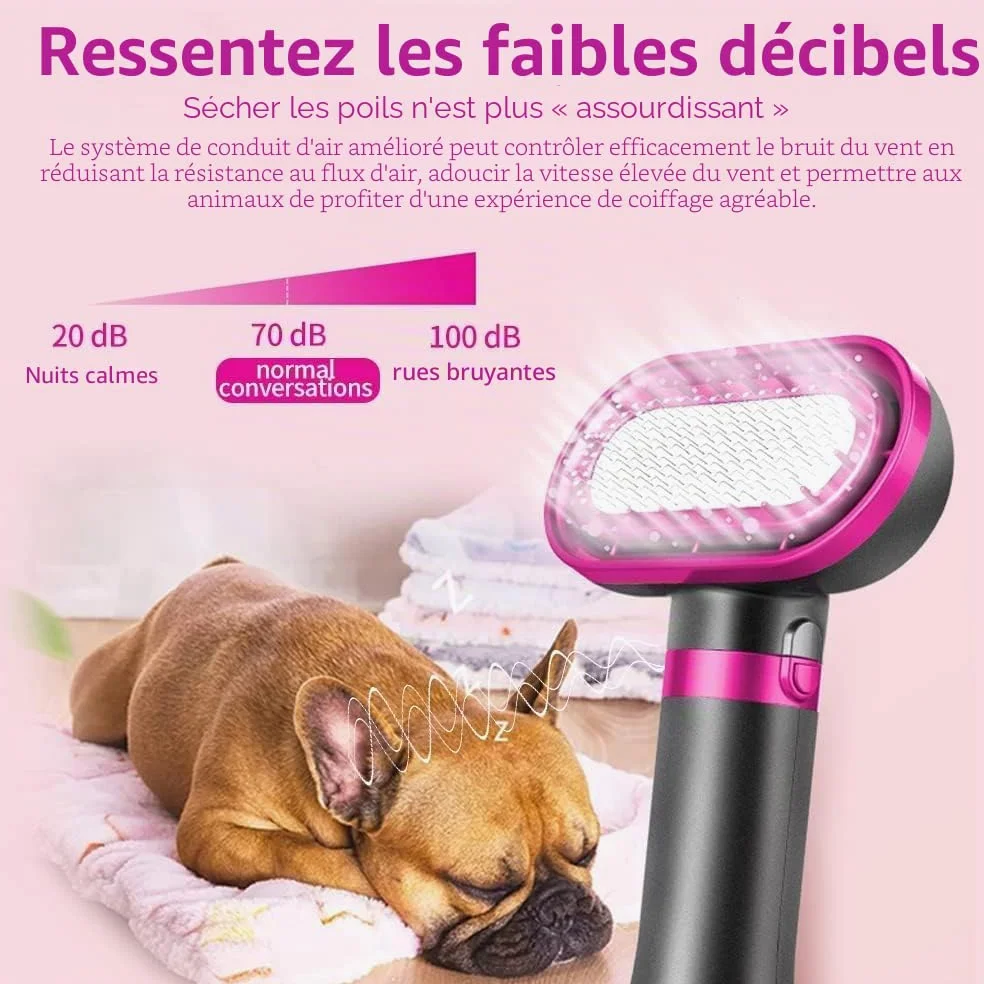 OBEST Sèche-Cheveux 2 en 1 pour Animaux avec Brosse, Poignée Confortable | Sèche-Cheveux Portable de Voyage pour Chiens avec Température Réglable pour Chats et Chiens de Petite et Moyenne Taille