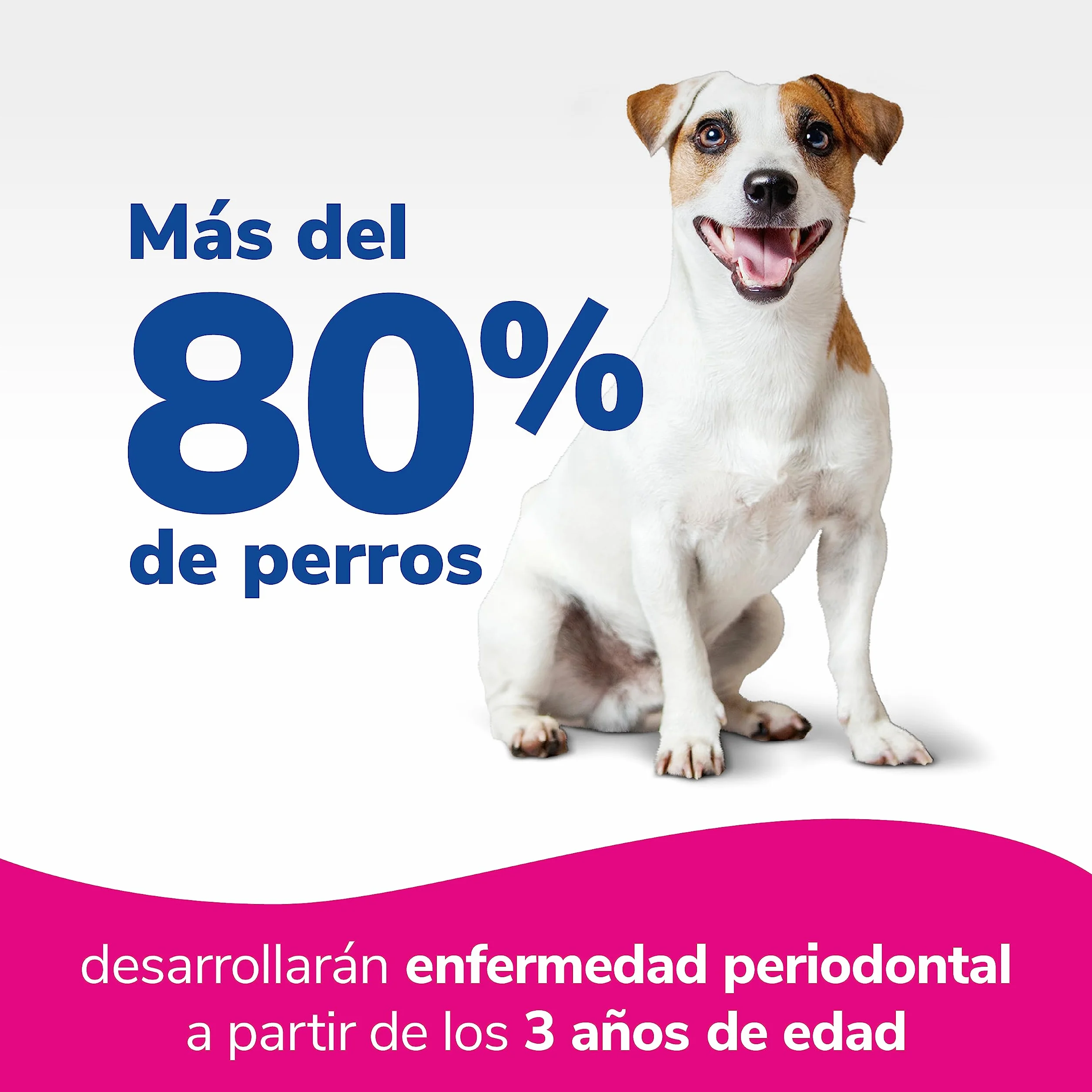 Ecuphar Orozyme Dentifricas S 24 Tiras
