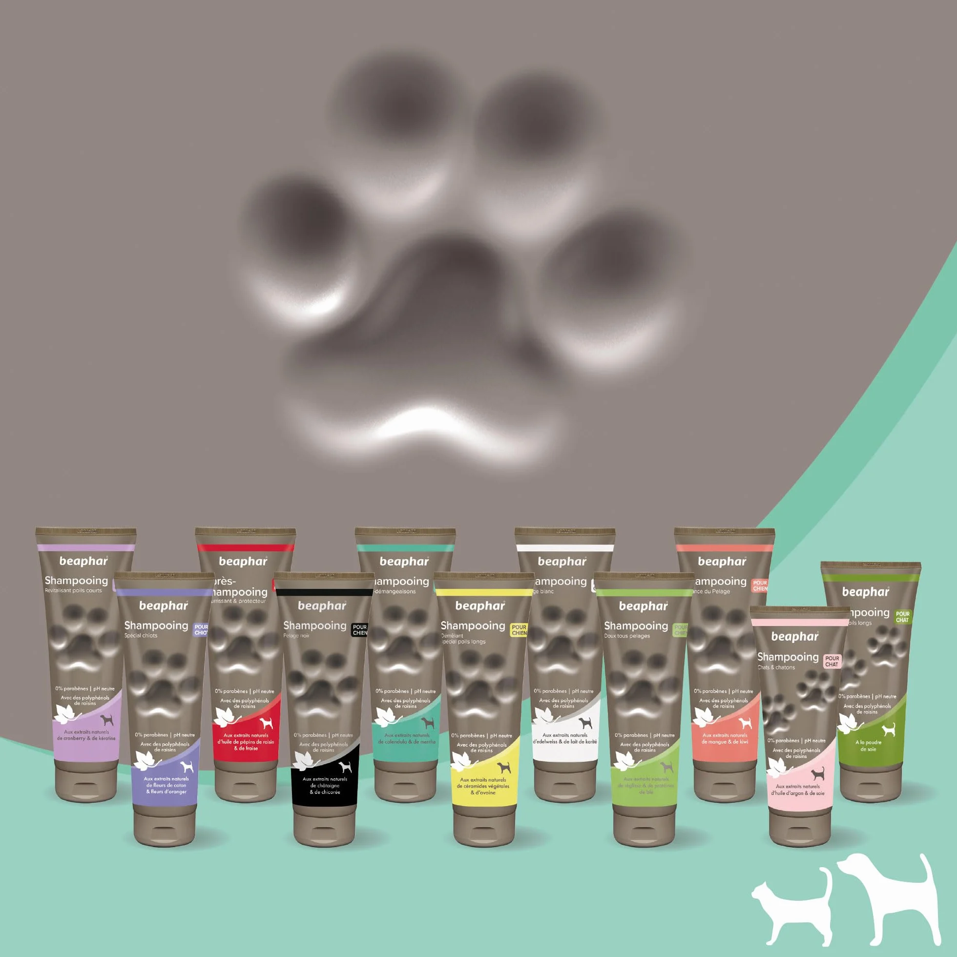 BEAPHAR – Shampoing Anti-démangeaisons pour chien – Extraits naturels de Calendula, de Menthe et du polyphénol de raisin – Apaise les démangeaisons et irritations – pH neutre et sans parben – 250ml