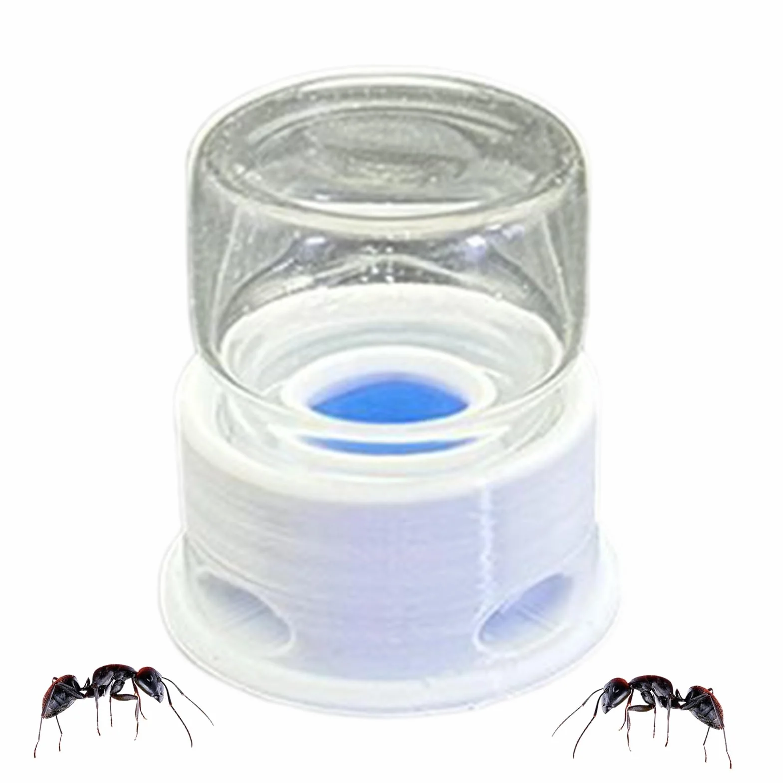 Transparent Distributeur pour Fourmis Abreuvoir pour Grillons Multifonction Abeilles Ferme Extérieur