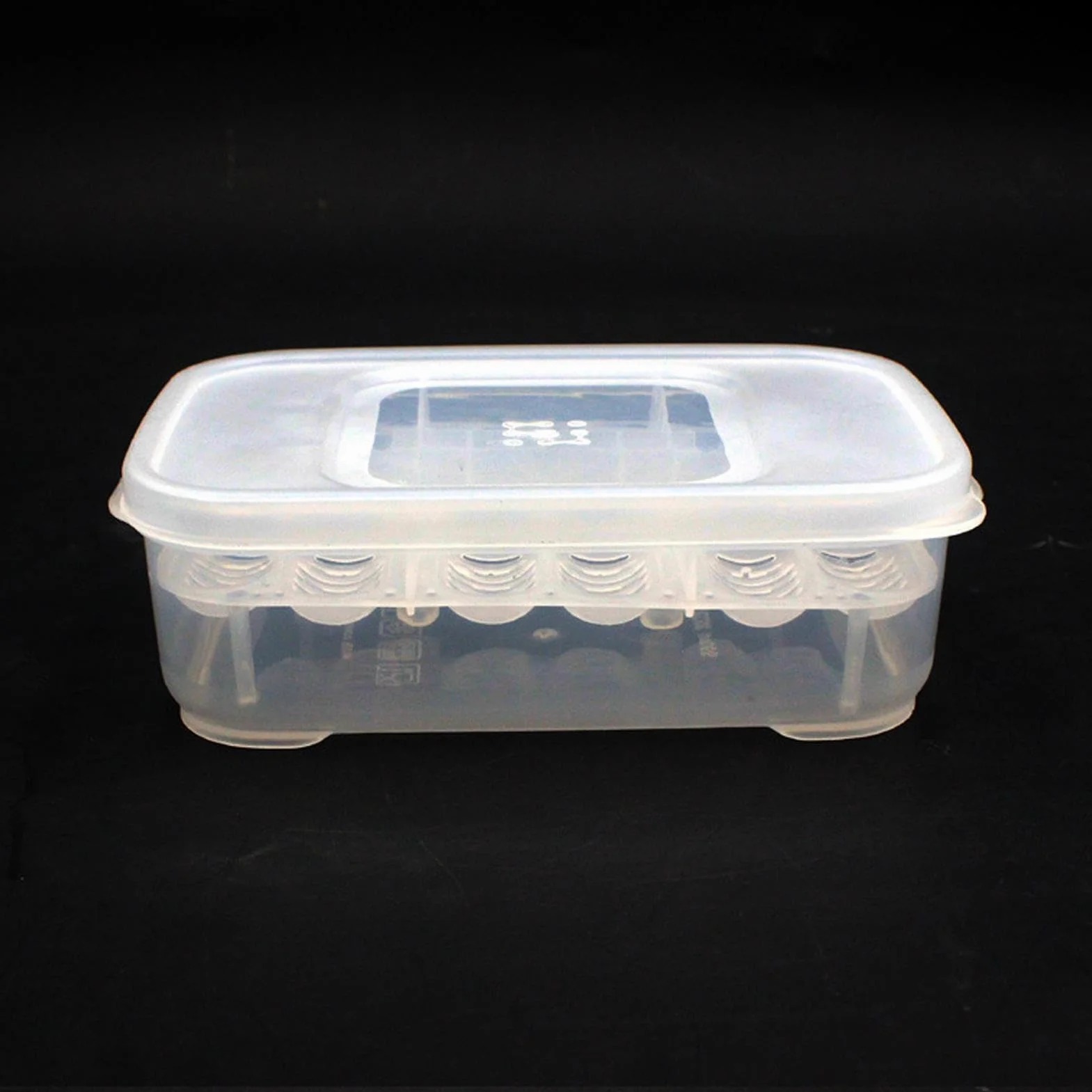 Boîte d'incubation de reptiles transparente pour œufs d'amphibiens, gecko, lézard, serpent, tortue
