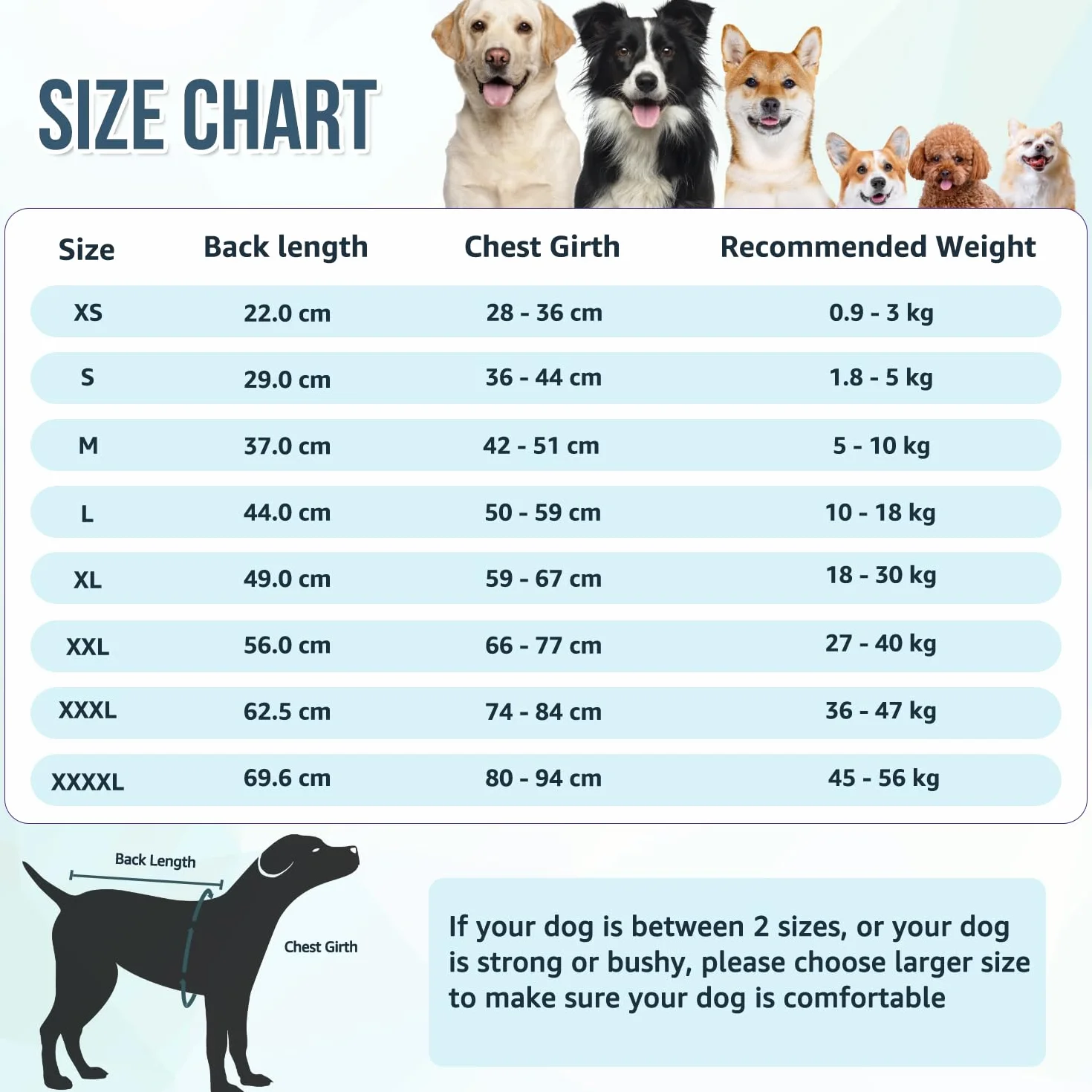 SlowTon Combinaison de récupération pour chien, chemise post-opératoire anti- léchage, bandage abdominal