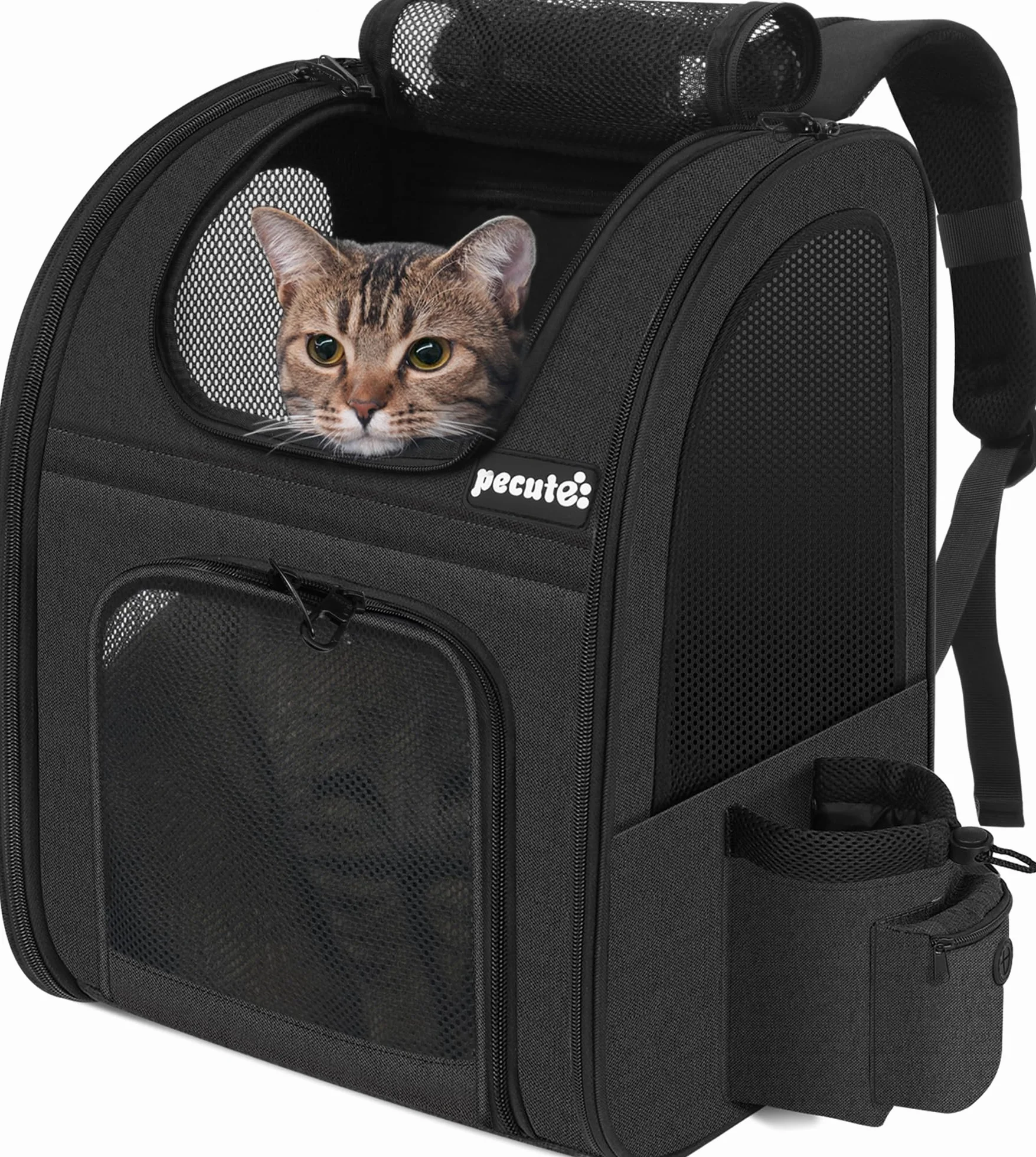 Pecute Sac à Dos Chat Petit Chien Design Classique Respirant Matelas Amovible Voyage Transport