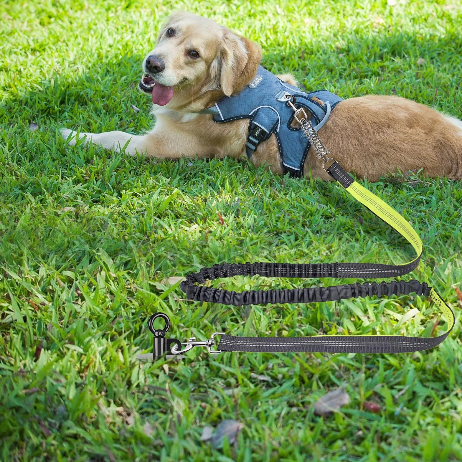 Piquet d'attache robuste pour chiens 100 kg sans nœuds noir