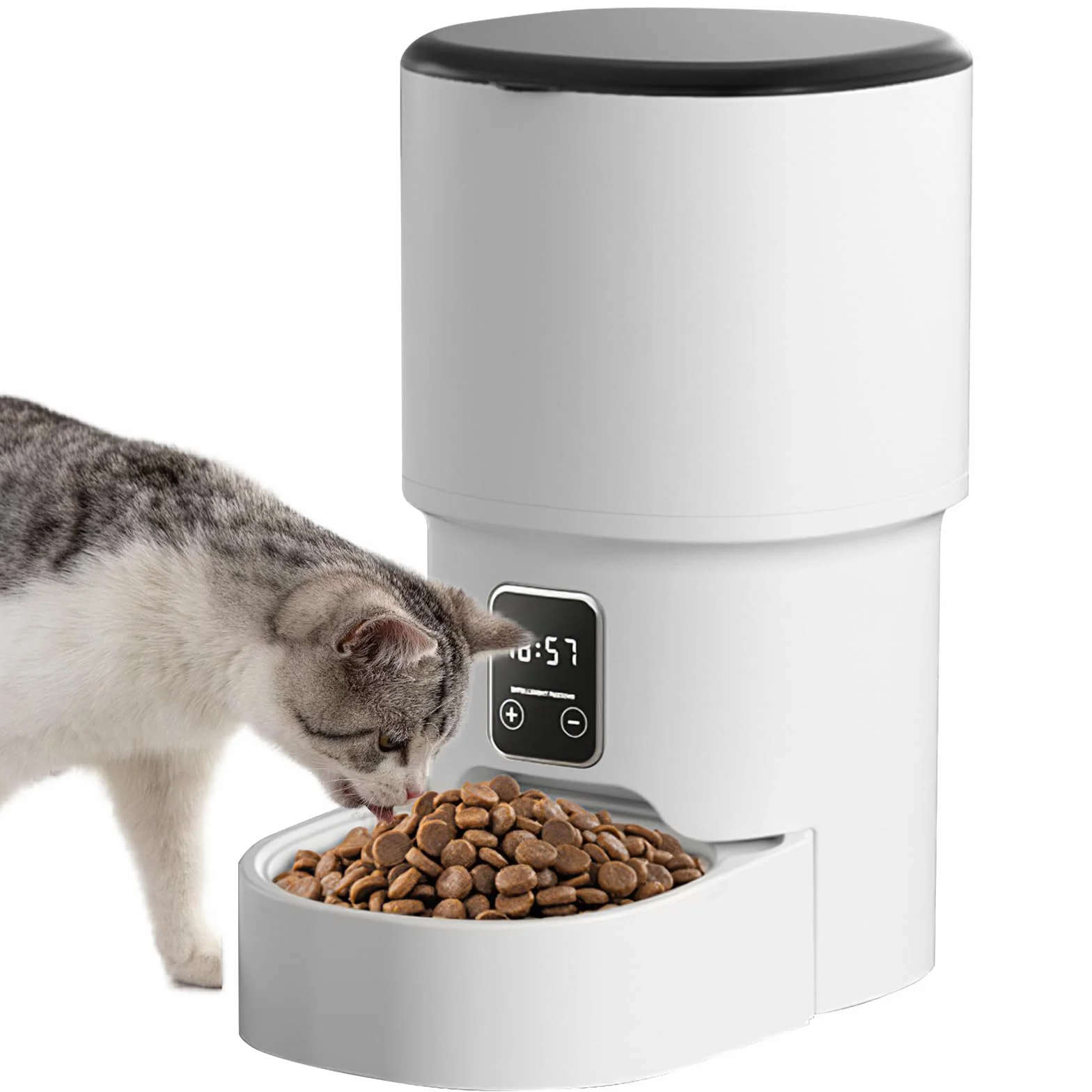 Distributeur Croquettes Chat Automatique 4L Minuterie Programmable 1-6 Repas