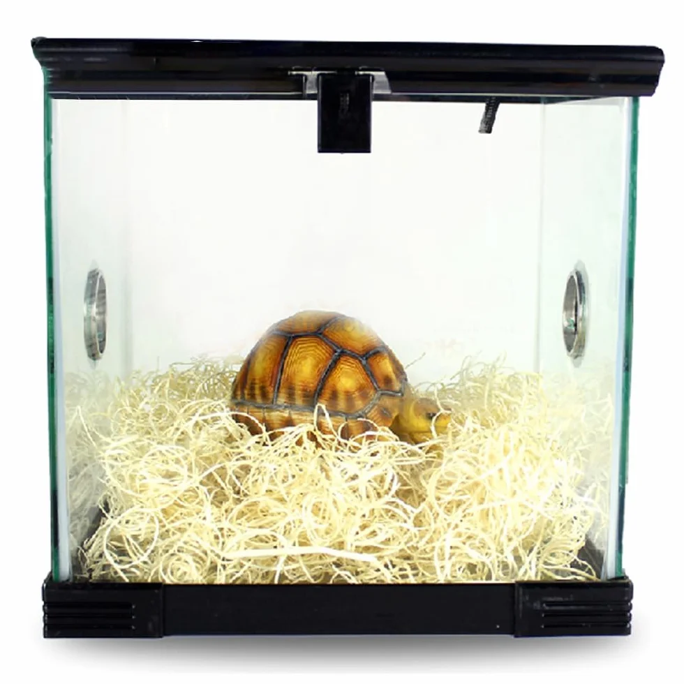 Copeaux de bois de tremble pour reptiles, fibre de bois, raphia, paille naturelle