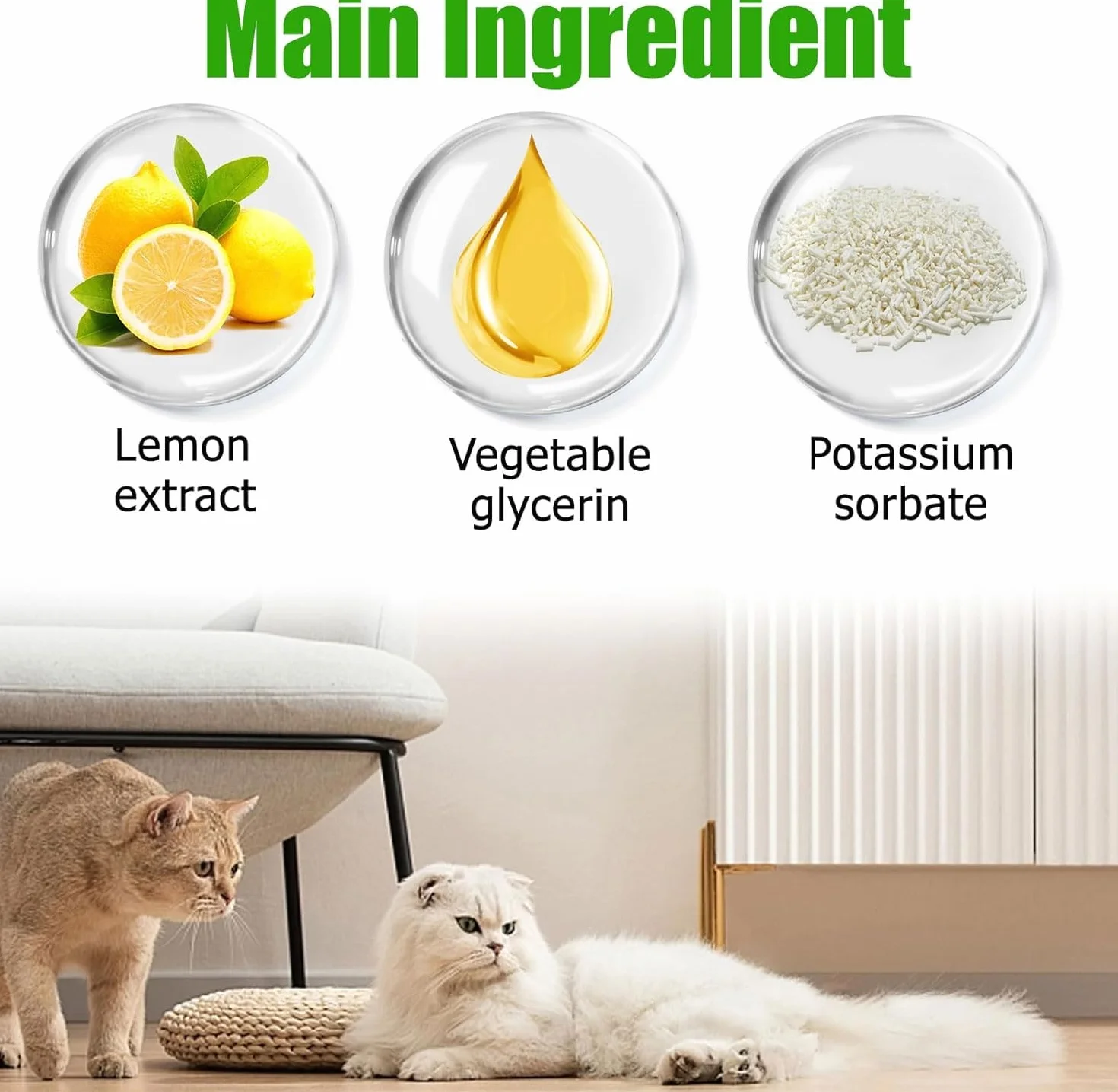 Antibiotiques pour Chats, Probiotiques Chien Chat 60ML, Constipation Soulagement