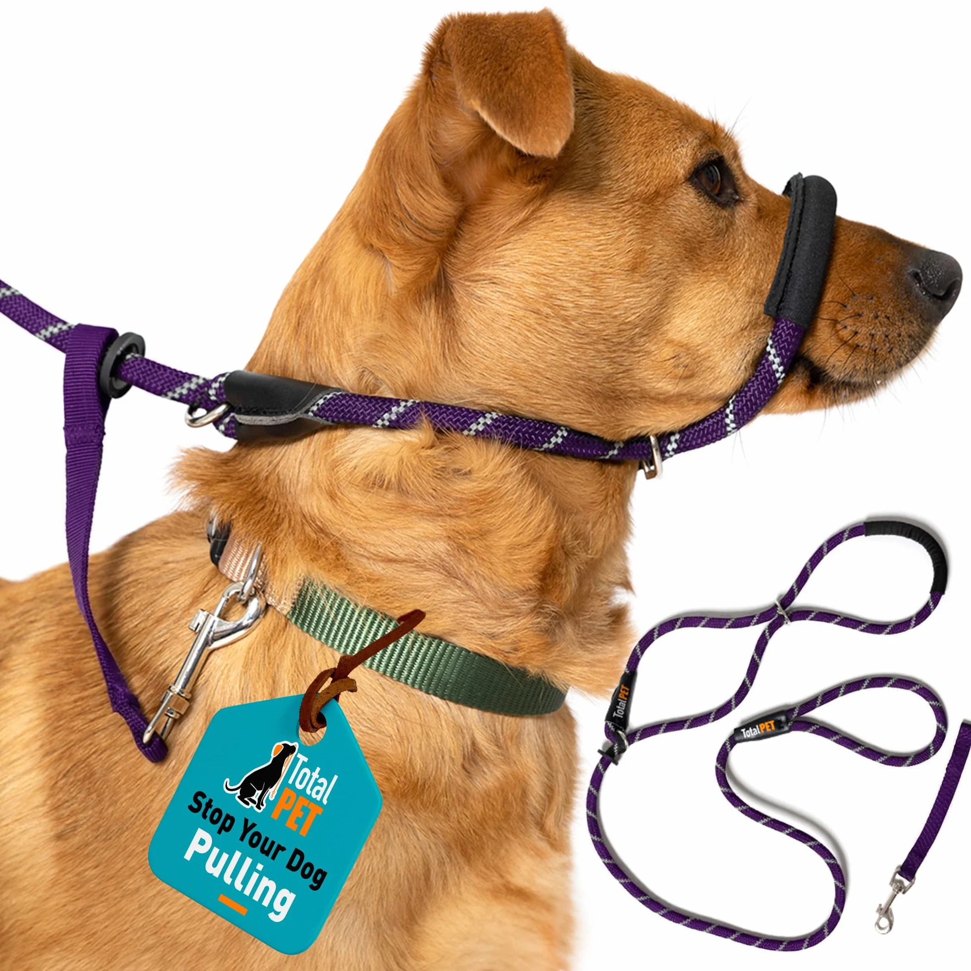 Laisse pour chien violette en figure de 8 Anti-tirage coulissante en corde avec support nasal rembourré Moyen/Grand