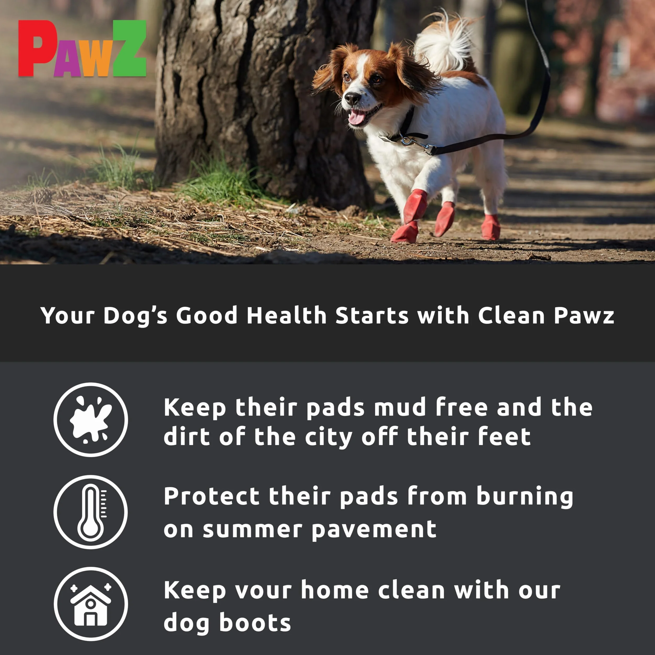 PAWZ Chaussette Noire Protection Coussinets Chien S n°4 Boite 12