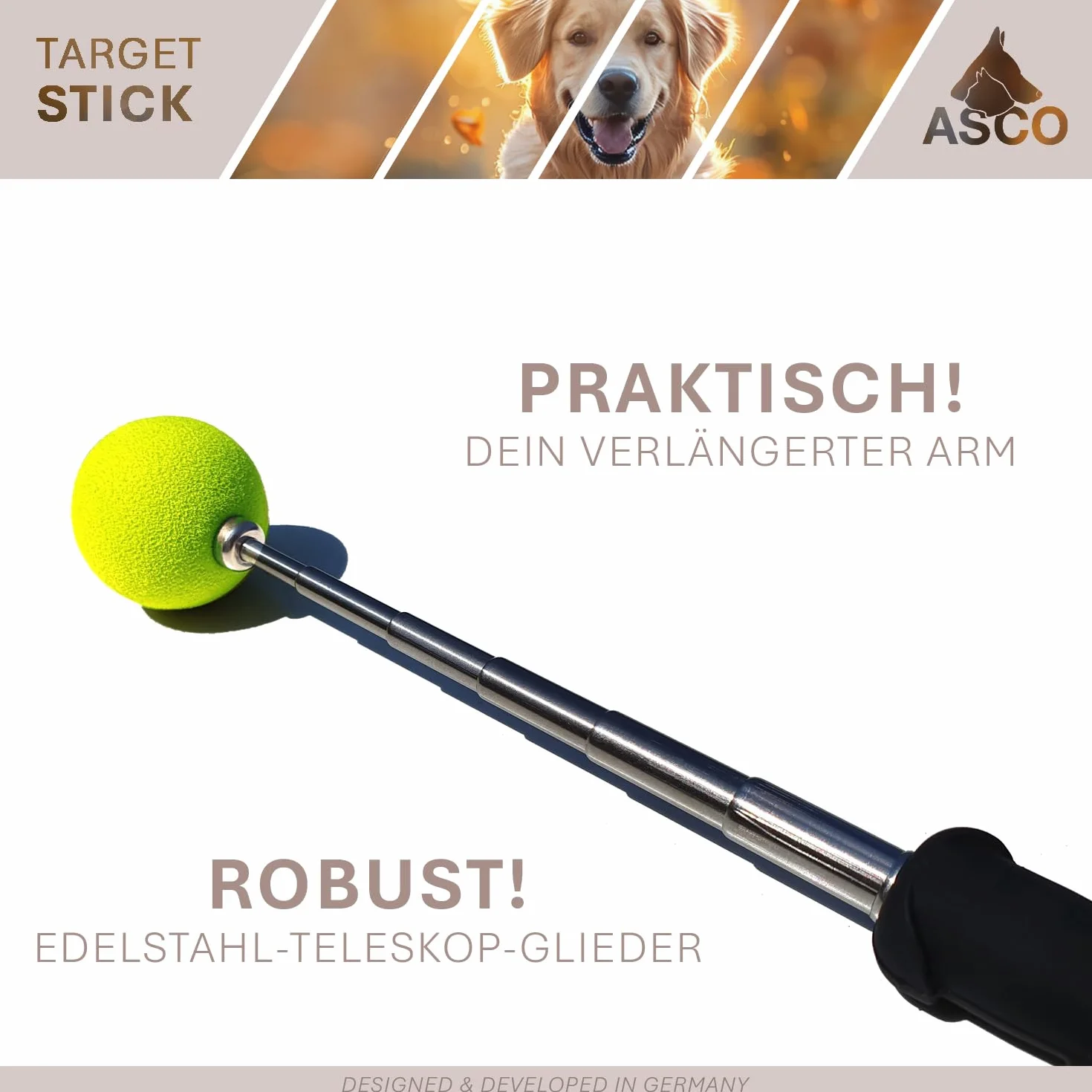 ASCO Target Stick avec Bracelet Extensible pour Chiens, Chats, Chevaux, Dressage et éducation au cliquet, Cible en Acier Inoxydable, Fonction télescopique 17-73 cm, Noir AC01TS