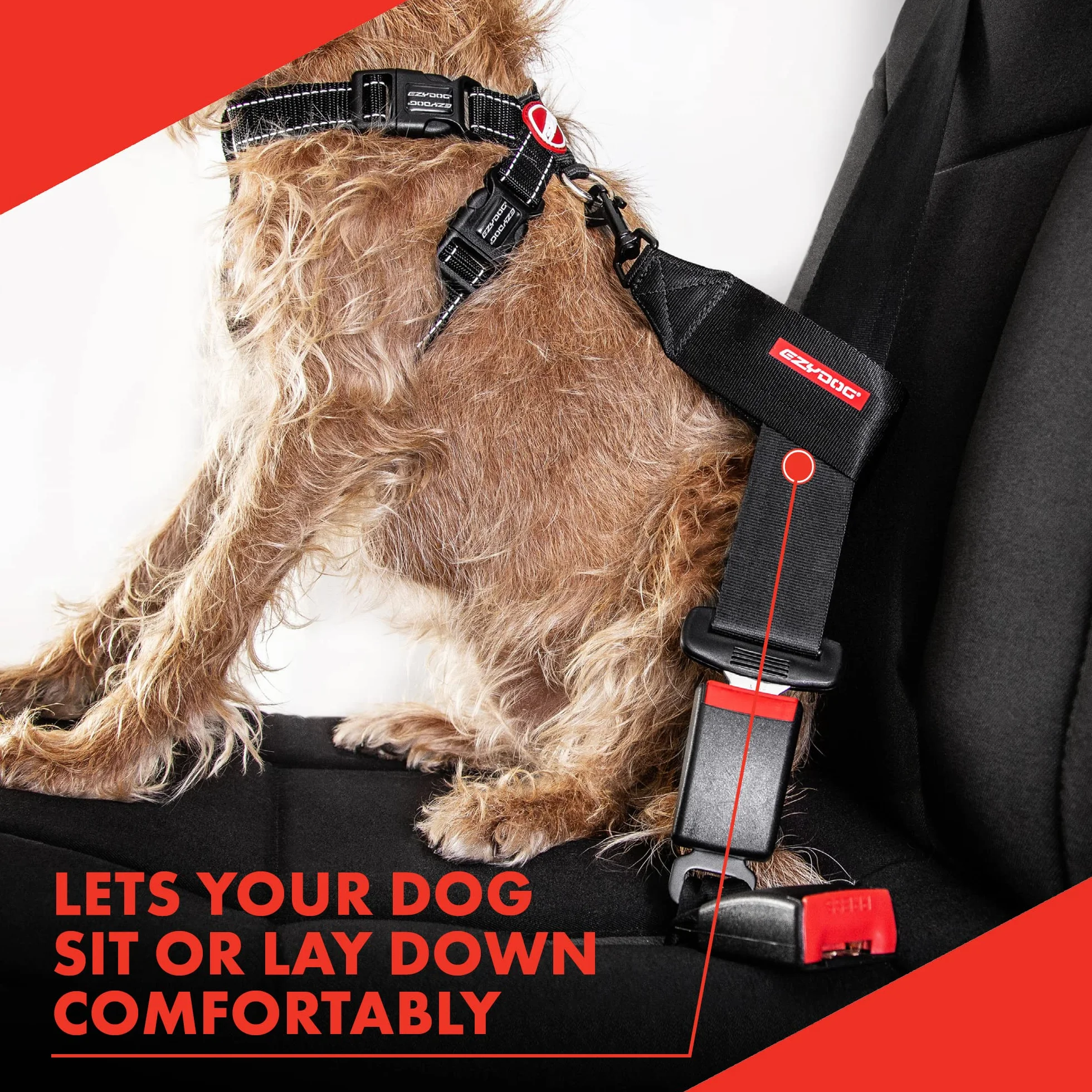 EzyDog Ceinture Chien Voiture – Attache Universelle pour Harnais, Ceinture de sécurité en Nylon Robuste pour Chien en Voiture (Noir)