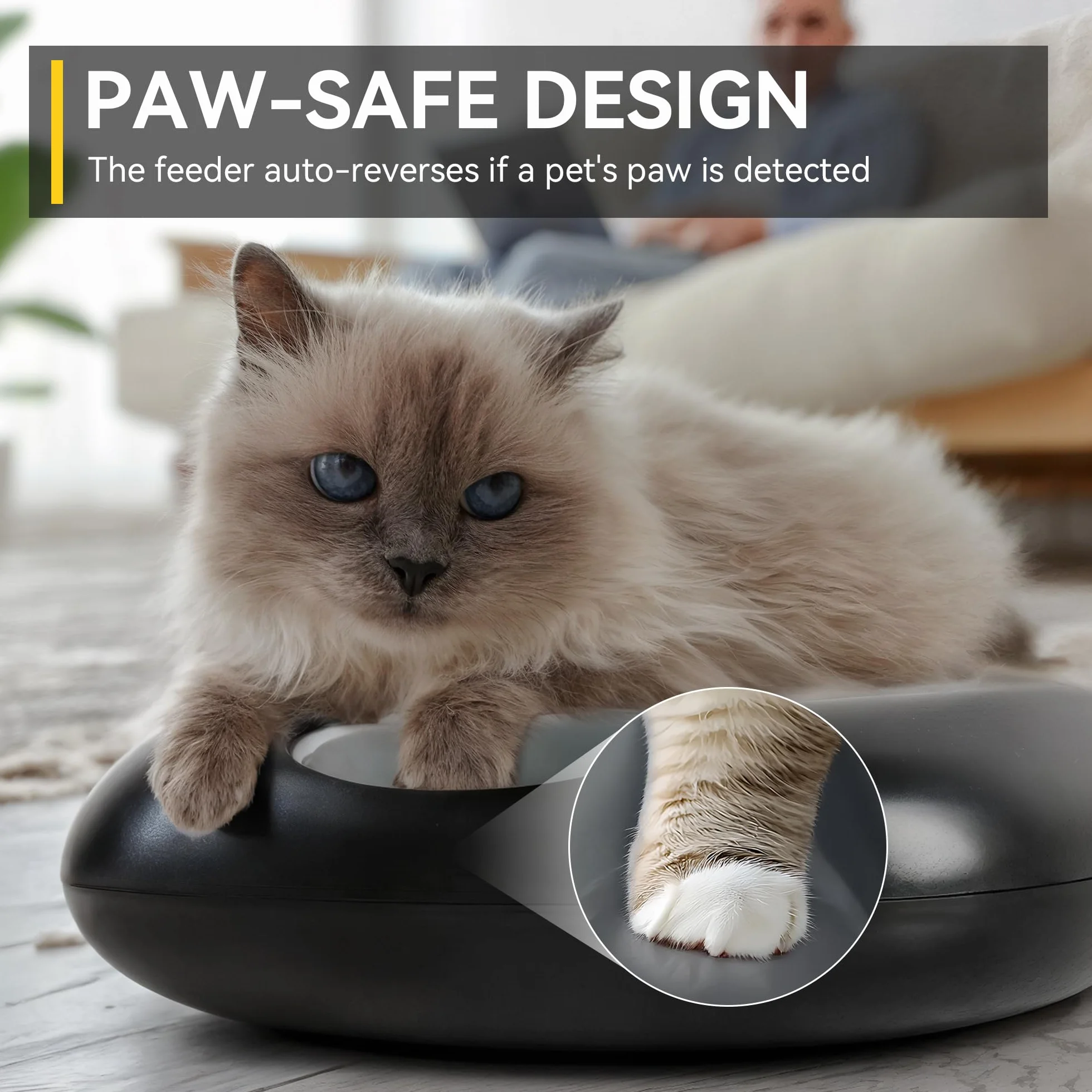 ALL FOR PAWS Distributeur Automatique de Nourriture sans Fil pour Chat 6 Repas, Accepte Nourriture Humide & Sèche, Rechargeable, Minuterie Programmable