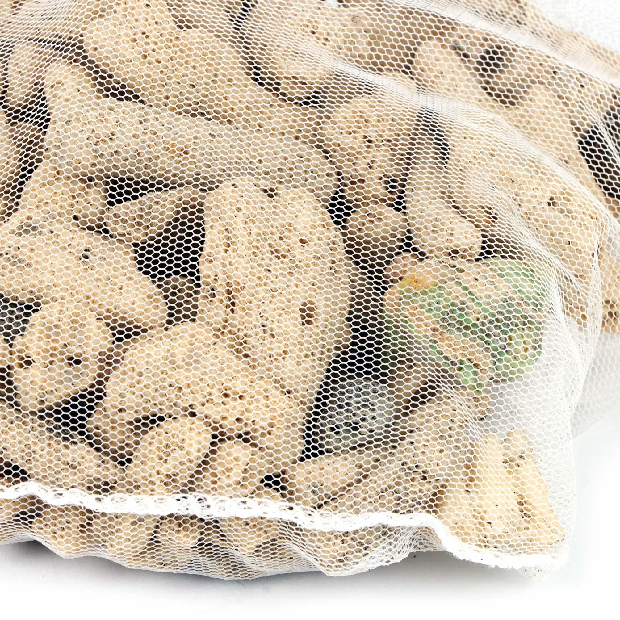 SunSun Sable corallien très Grossier 0,5 kg pour Colonisation de bactéries nitrifiantes Filtre bassins étangs Aquariums