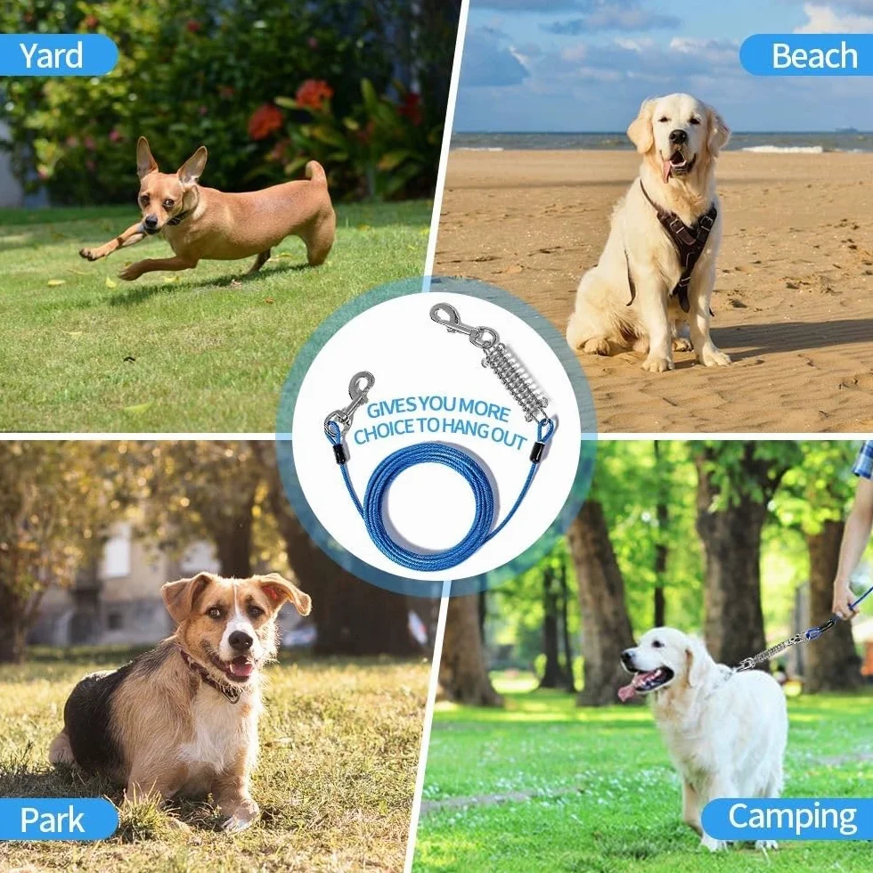 Câble d'attache pour chien 5 m diamètre chaîne robuste absorption des chocs camping plein air jusqu'à 150 kg