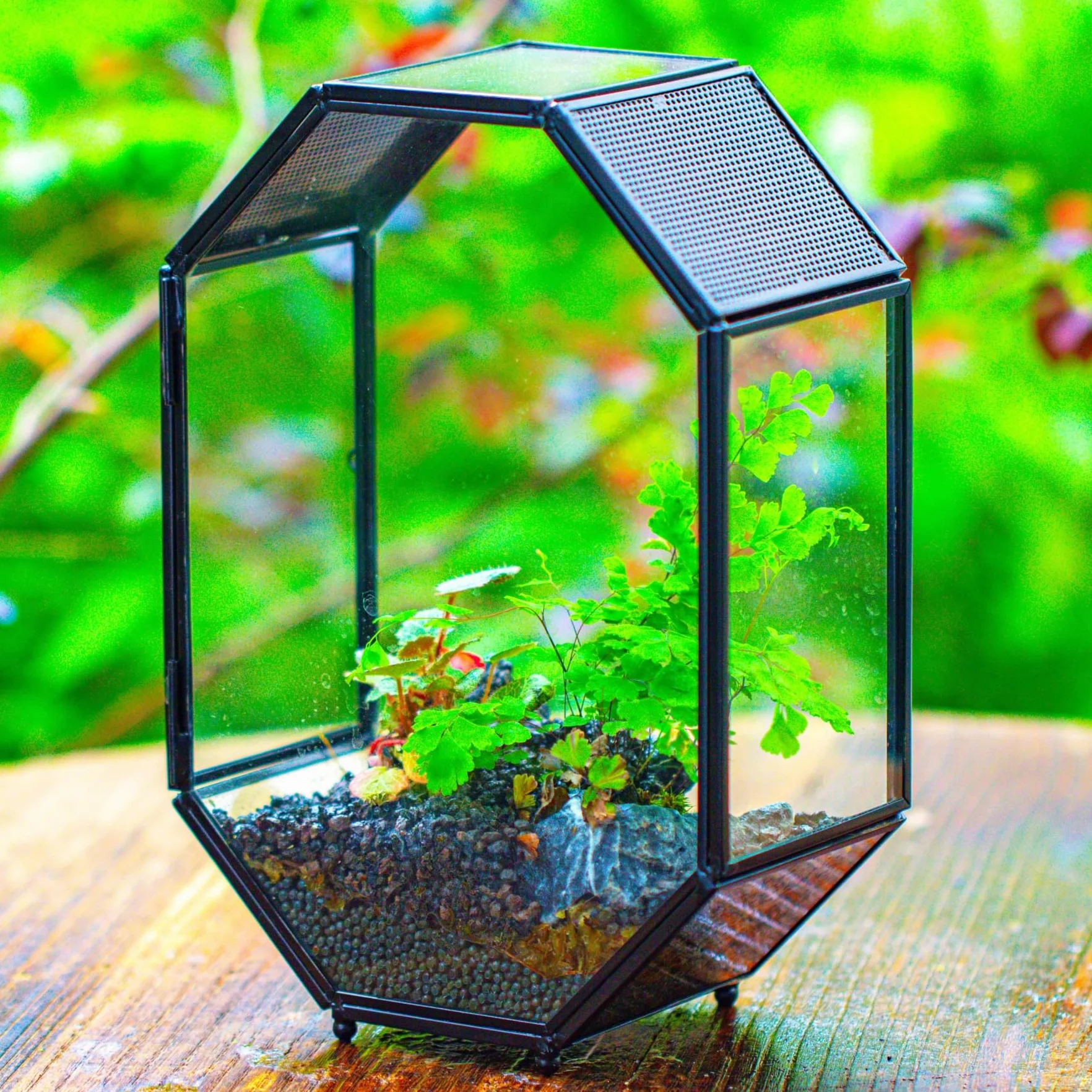 Terrarium en Verre Octogonale 15,8x8x22,1 cm avec Maille et Porte pour Araignées Insectes Petites Plantes