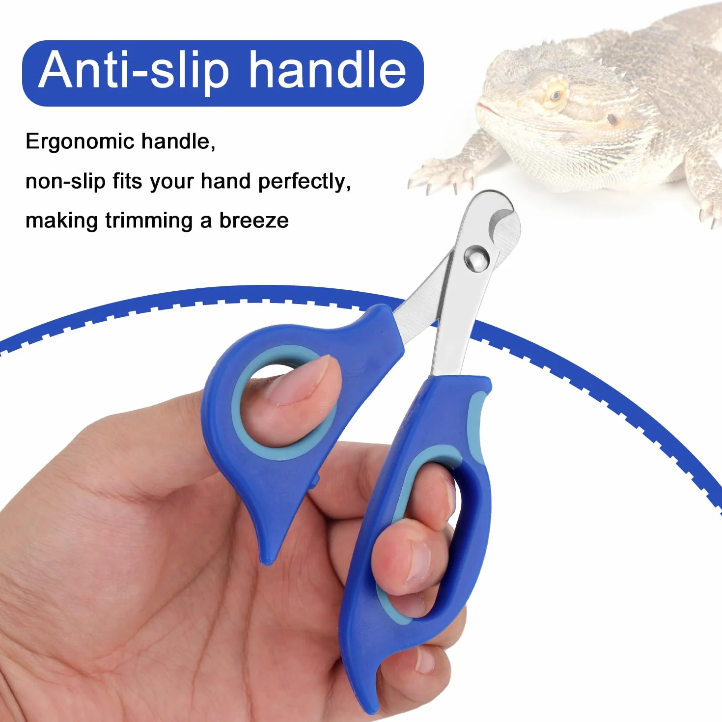 Coupe-Ongles pour Dragon Barbu en Acier Inoxydable Professionnel Reptiles