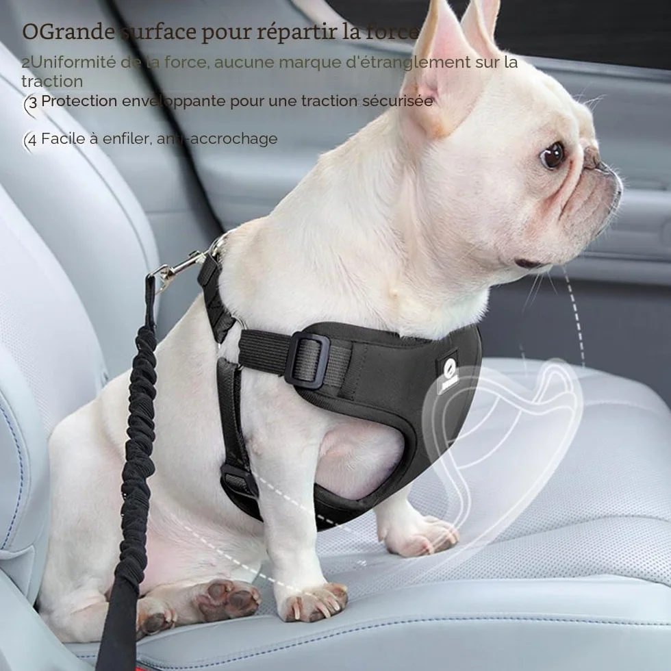 Ensemble de Harnais et Laisse de Sécurité de Voiture, Harnais Voiture Chien en Maille Douce et Respirante, 53 cm-74 cm Ceinture de Sécurité éLastique Réglable à Fixer Sur le Siège de Voiture (Noir, S)