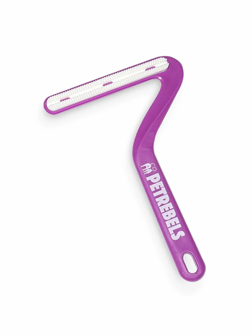 Petrebels Épilateur pour poils de chat brosse double face canapé arbre à chat meubles Lucky 7 violet