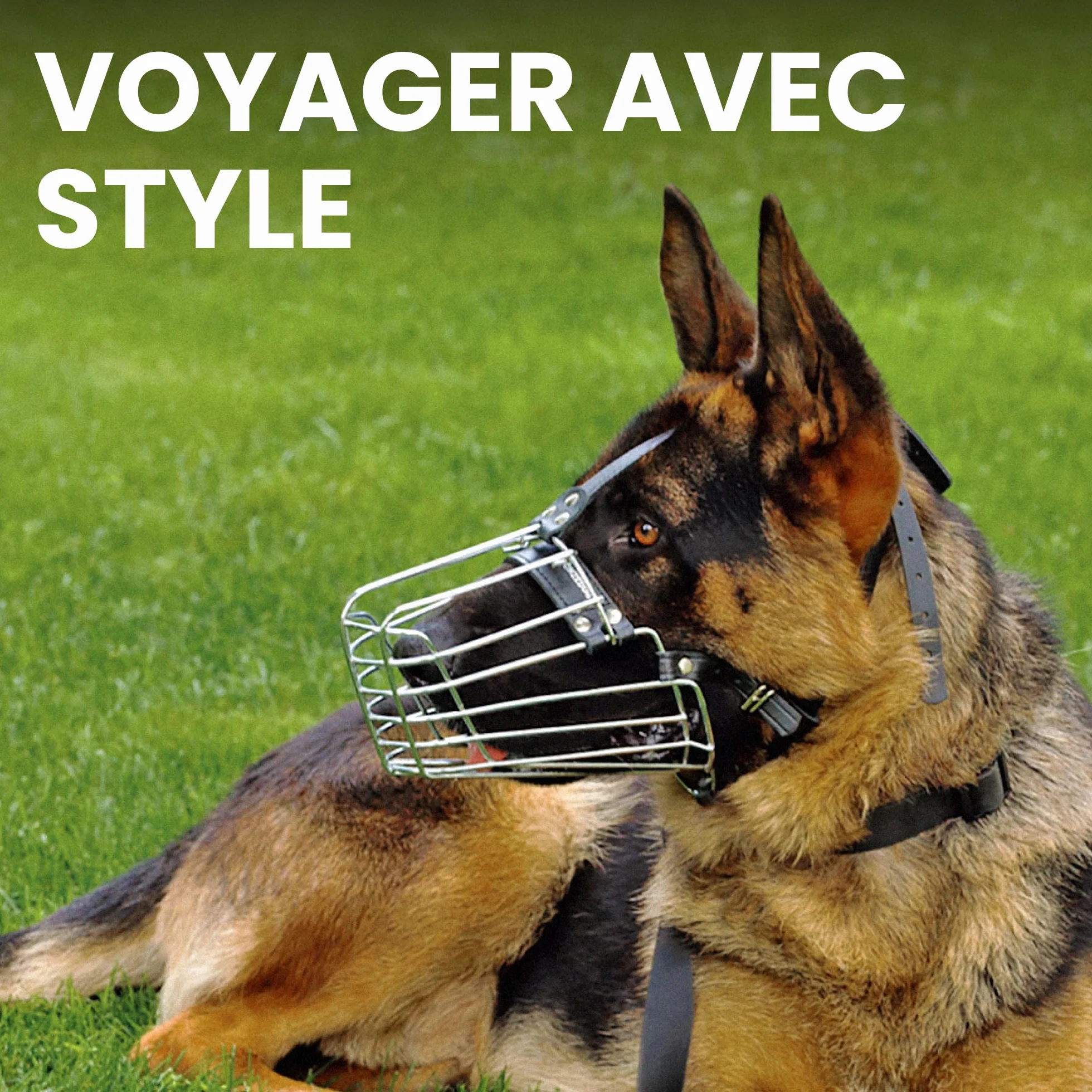 BRONZEDOG Muselière pour Chien en Fil de Fer - Berger Allemand pour Chiens de Taille Moyenne et Grande - Panier en métal Durable pour Mordre, mâcher et aboyer (L)